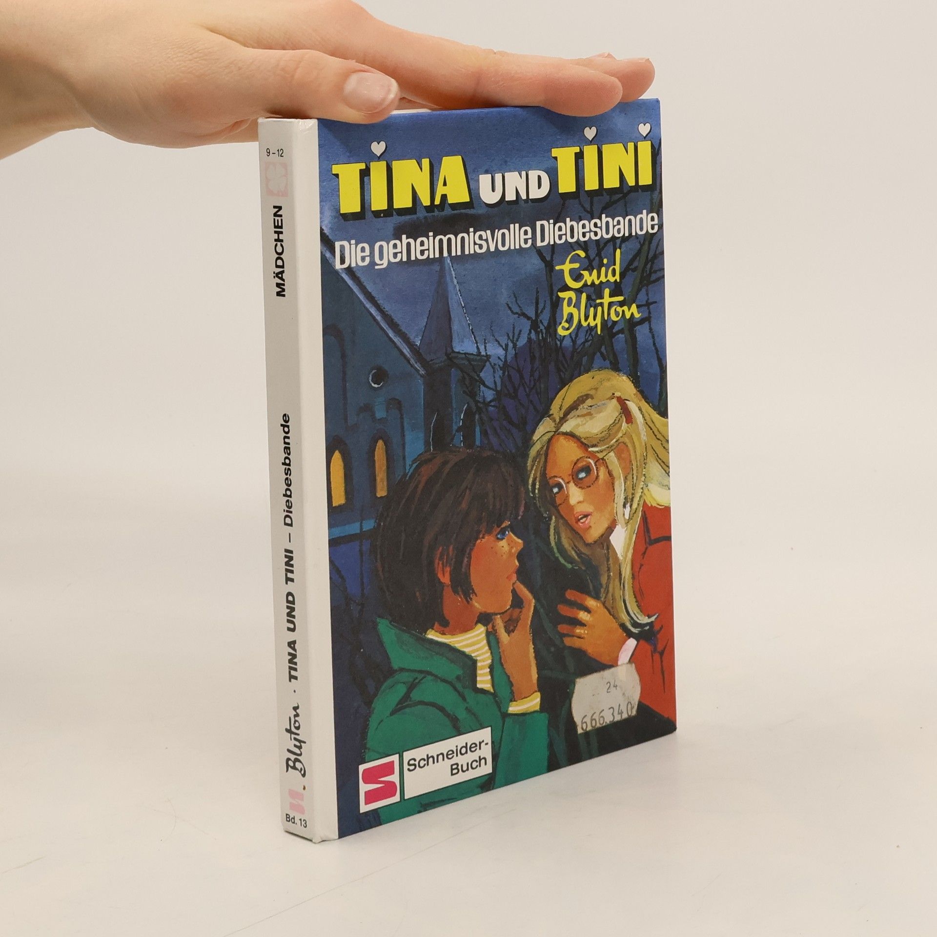 Erid Bluton Tina und Tini: Die geheimnisvolle Diebesbande