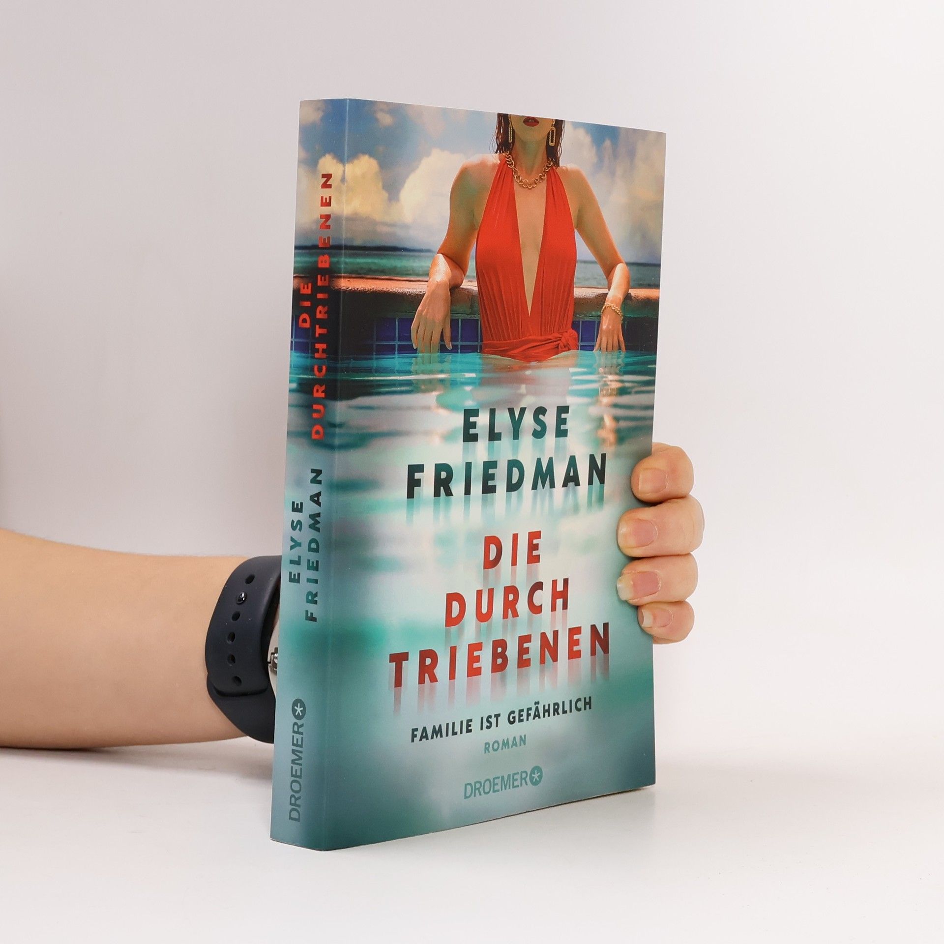Elyse Friedman Die Durchtriebenen. Familie ist gefährlich. Roman | Bitter-böser Familien-Thriller aus Kanada