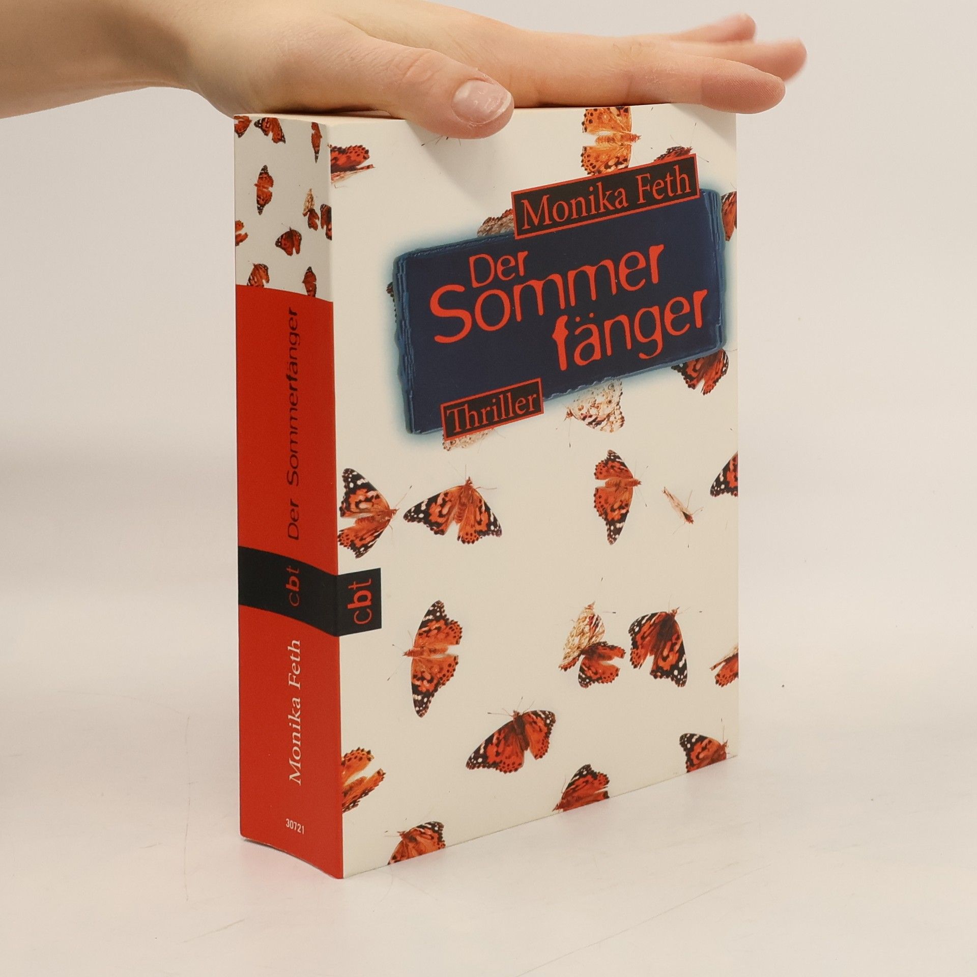 Monika Feth Der Sommerfänger