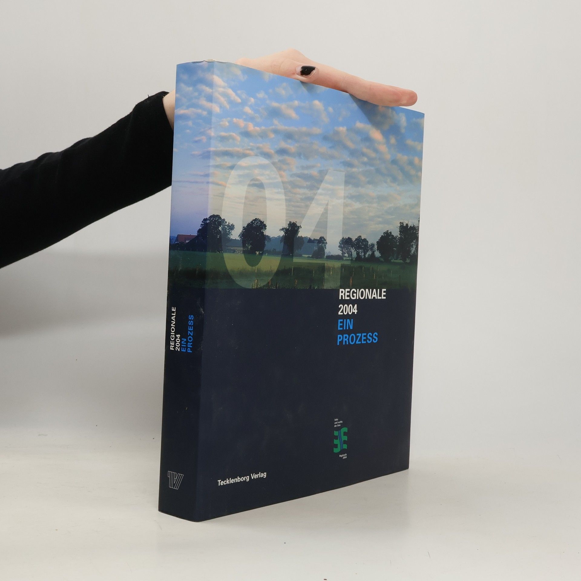 Regionale 2004, ein Prozess