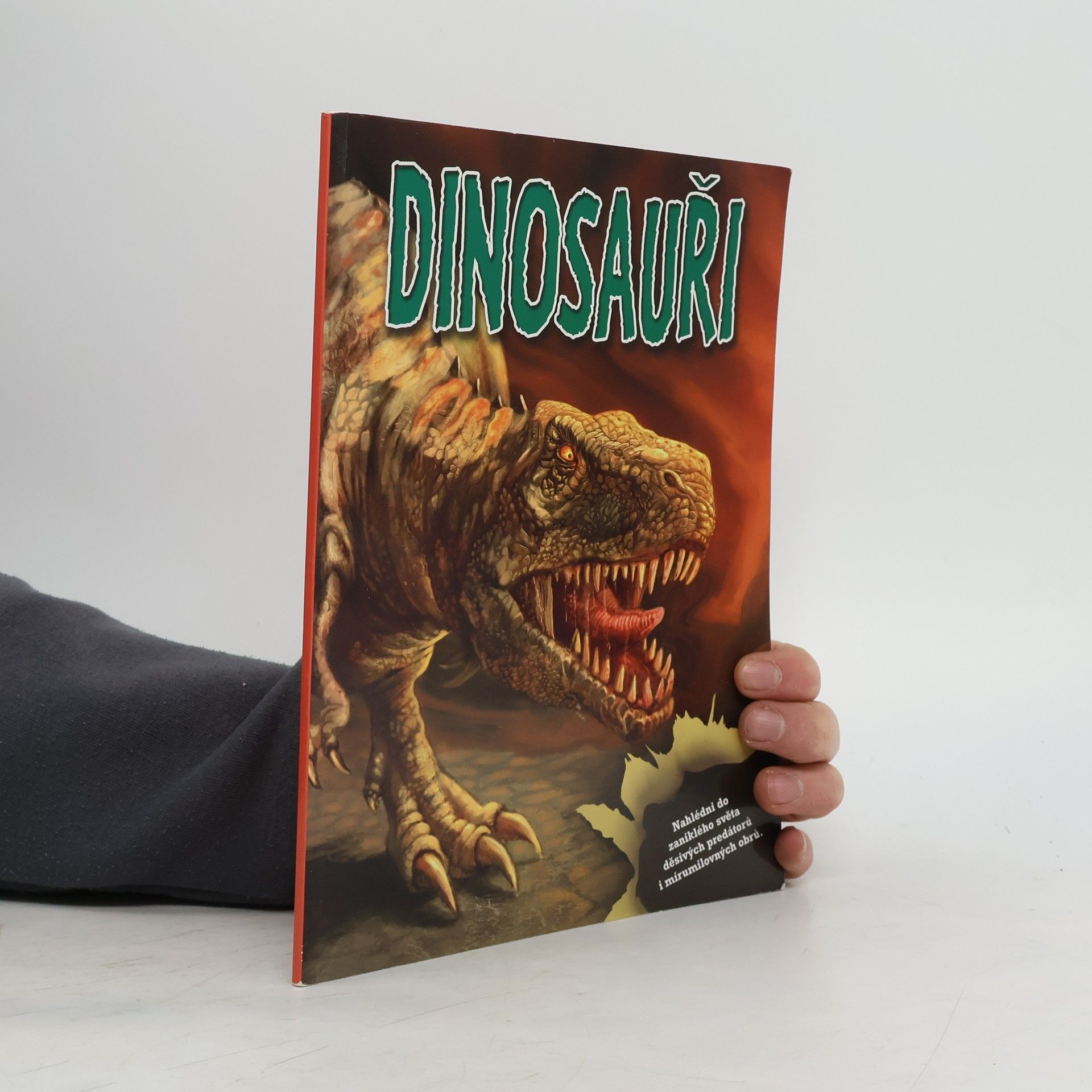 Collectif d'auteurs Dinosauři: kniha & modely & samolepky