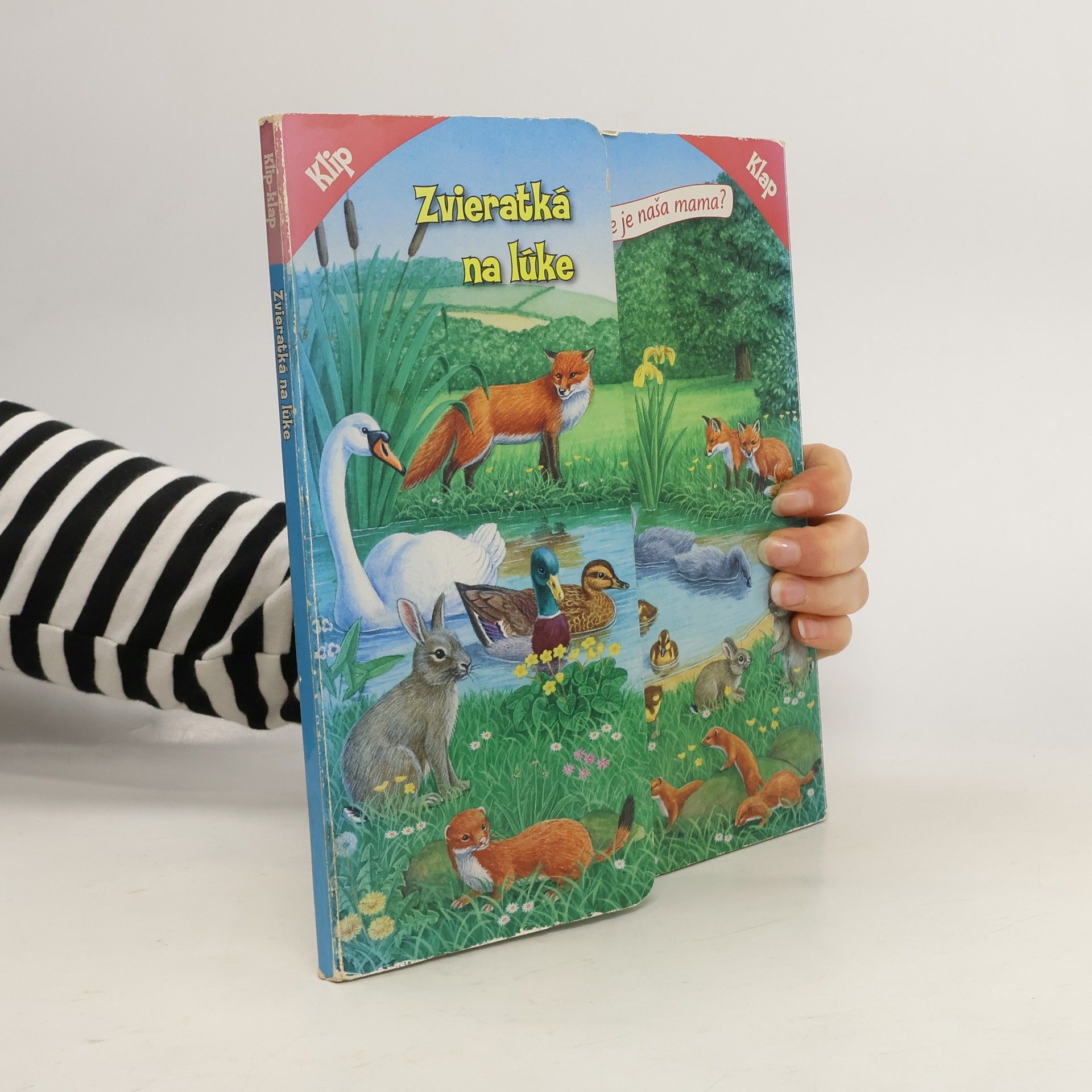 Bob Bampton Zvieratká na lúke. Kde je naša mama?