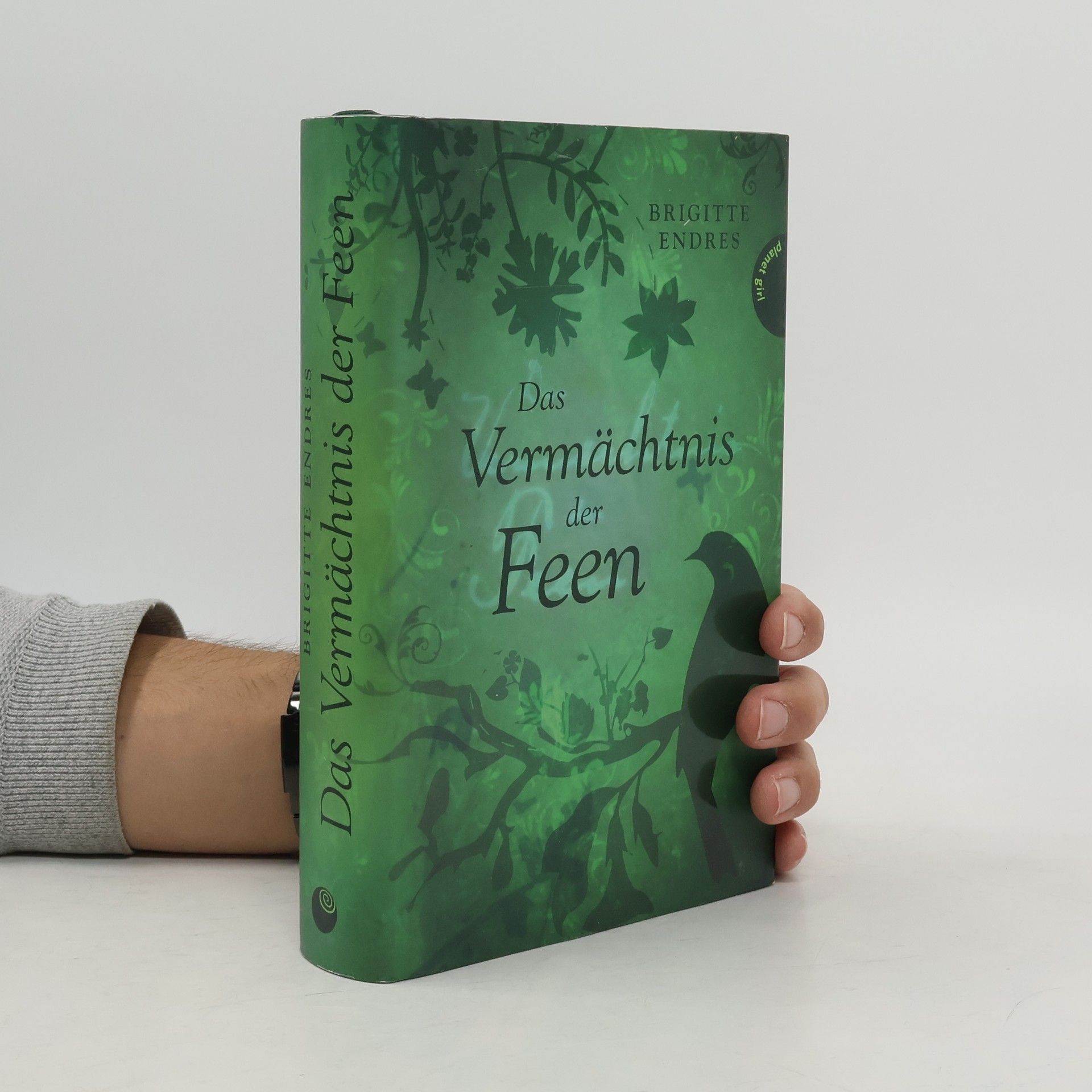 Brigitte Endres Das Vermächtnis der Feen
