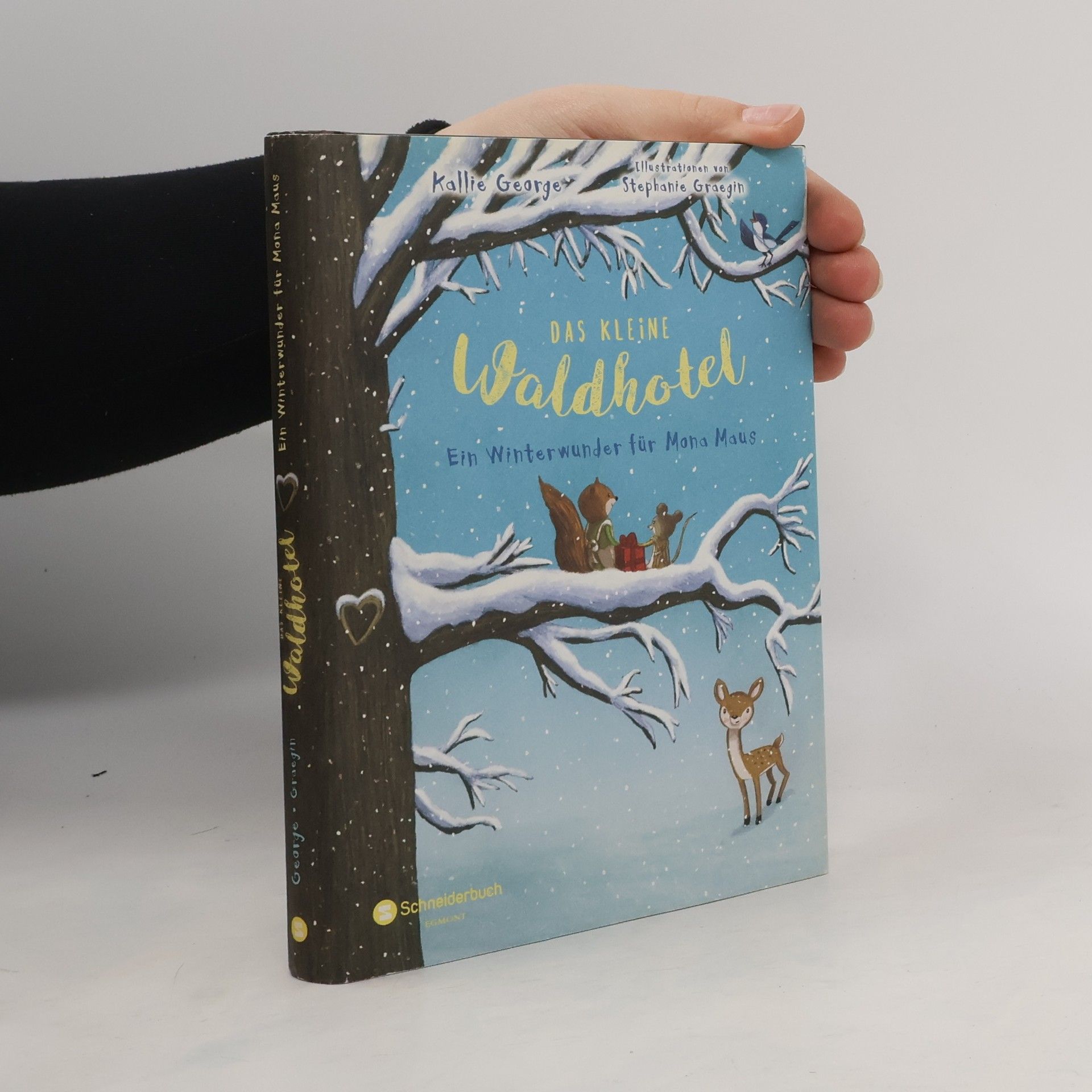 Kallie George Ein Winterwunder für Mona Maus