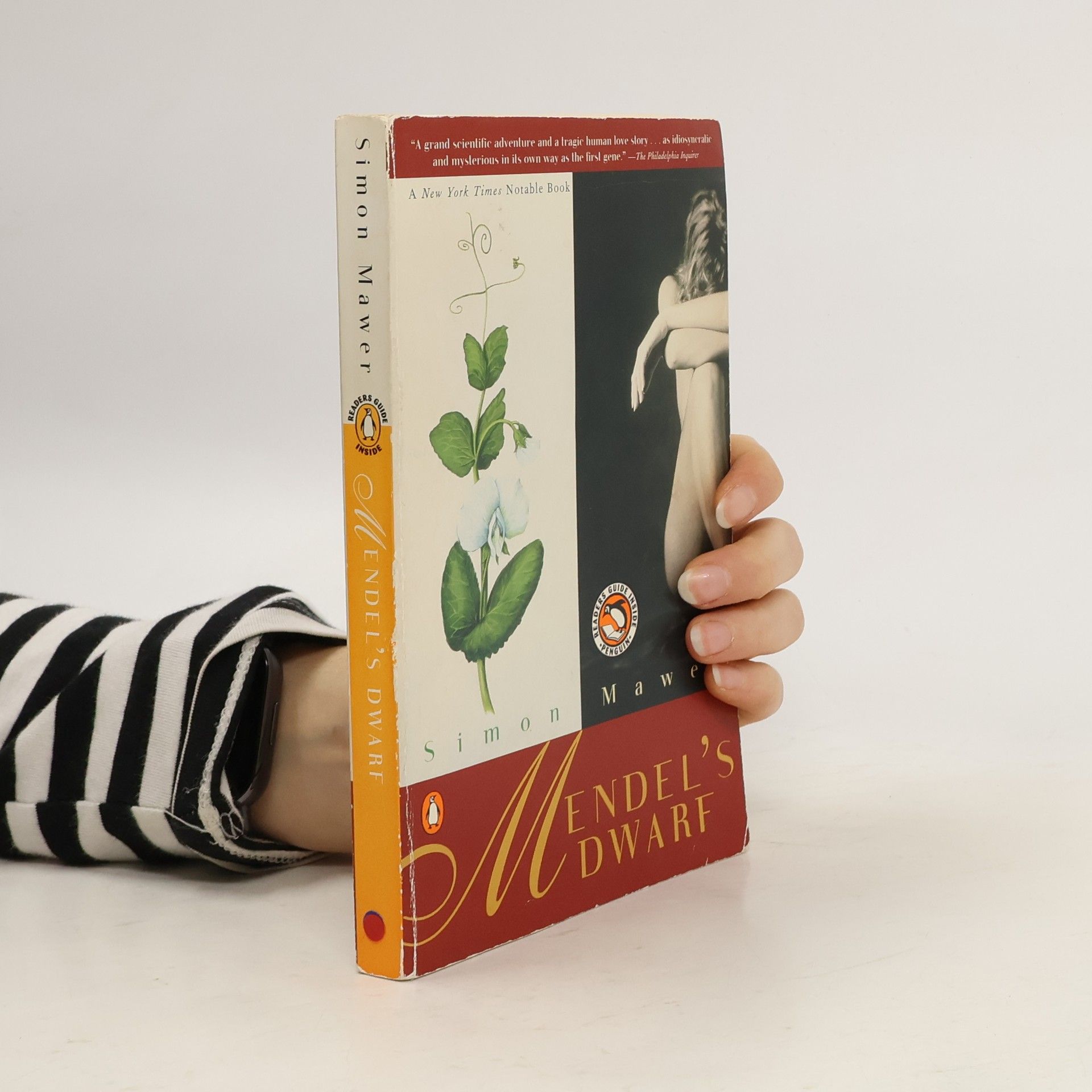 Simon Mawer Mendel's Dwarf