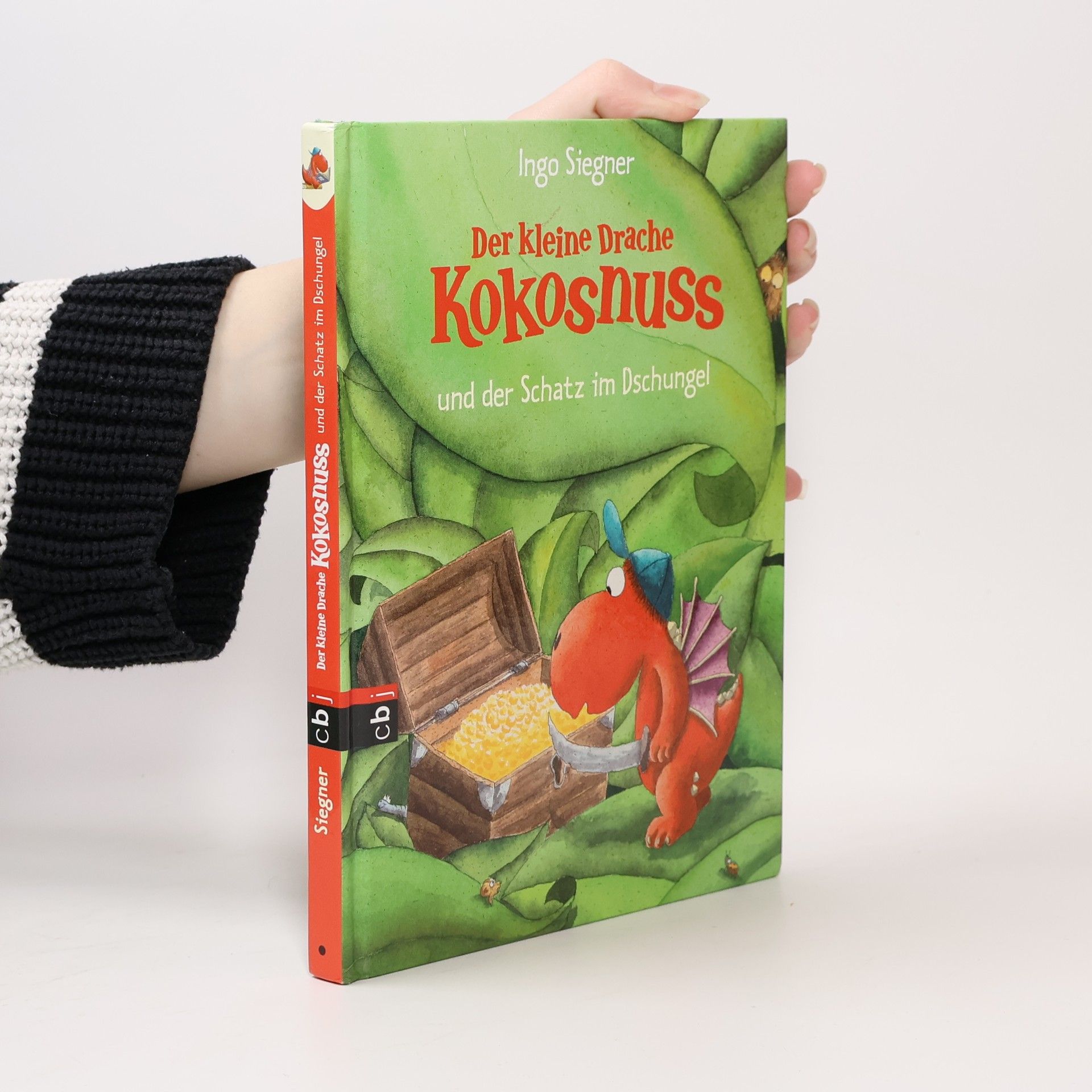 Ingo Siegner Der kleine Drache Kokosnuss und der Schatz im Dschungel