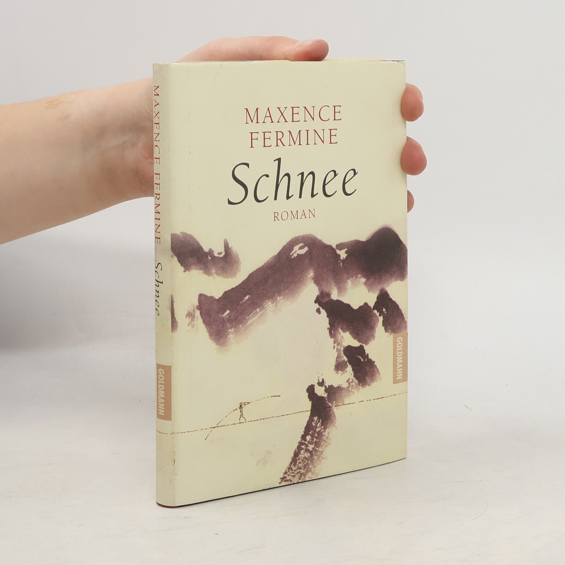 Maxence Fermine Schnee