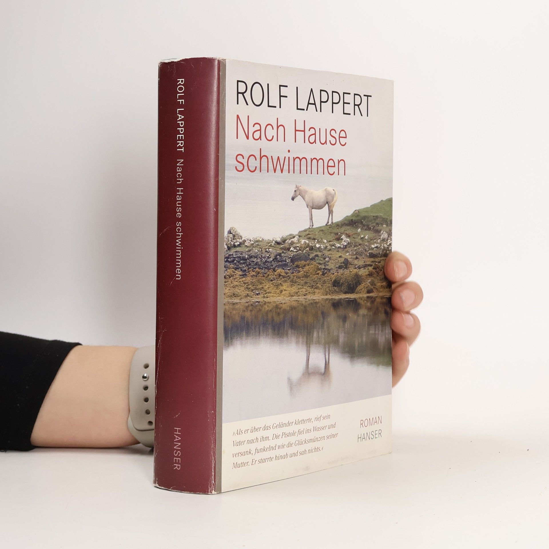 Rolf Lappert Nach Hause schwimmen