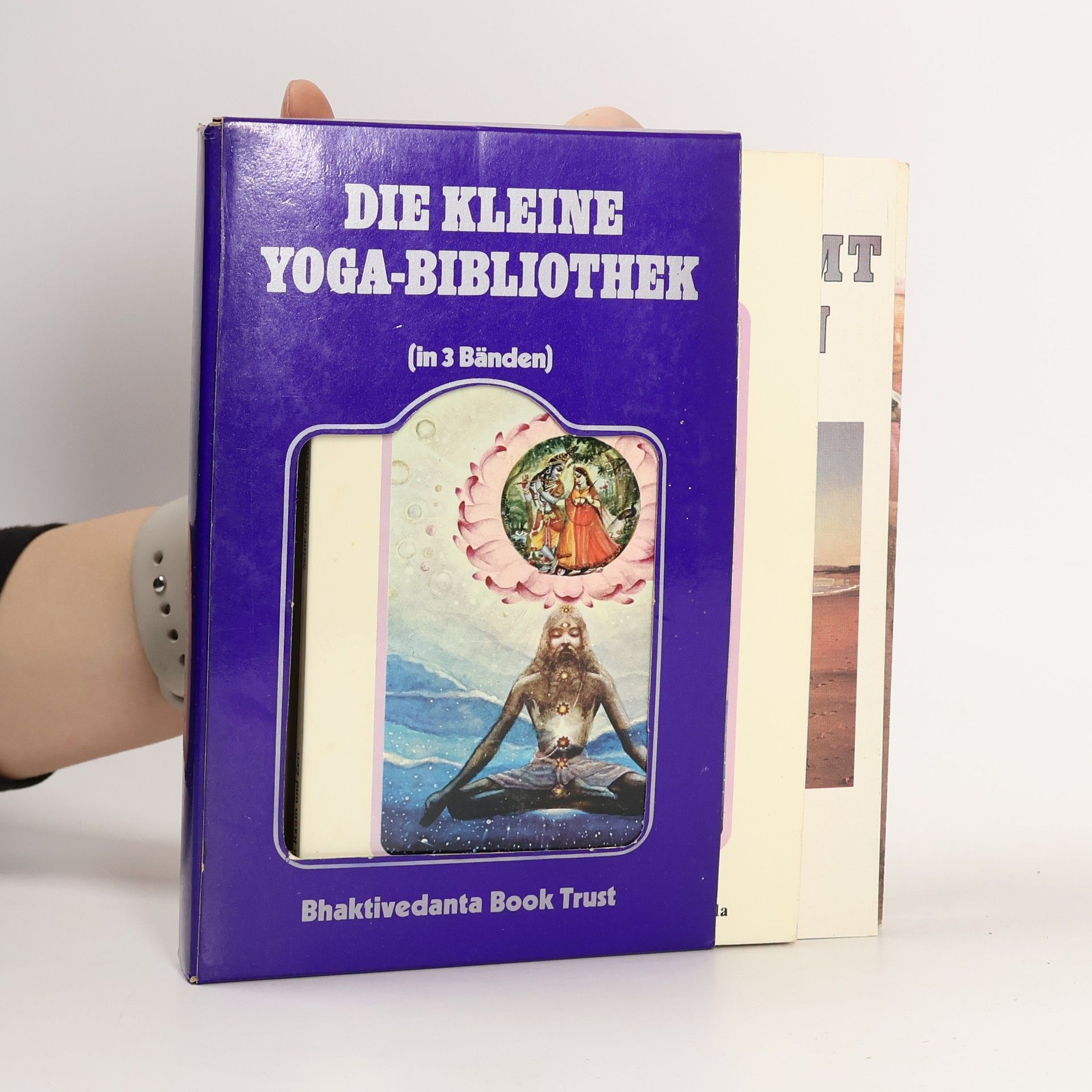 AA.VV. Die kleine Yoga-Bibliothek
