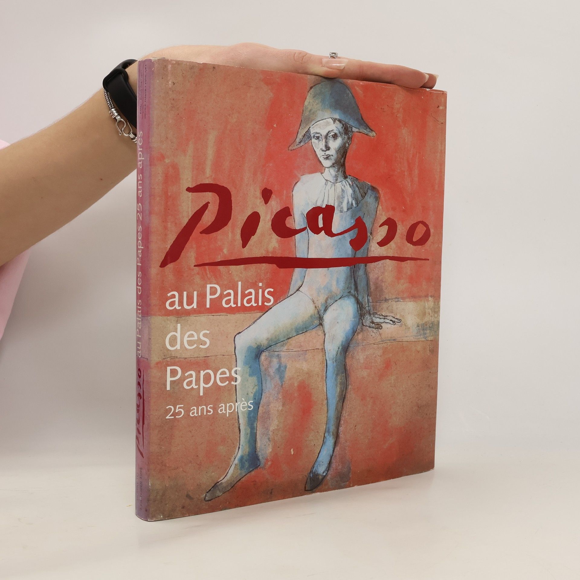 Collectif d'auteurs Picasso au Palais des Papes