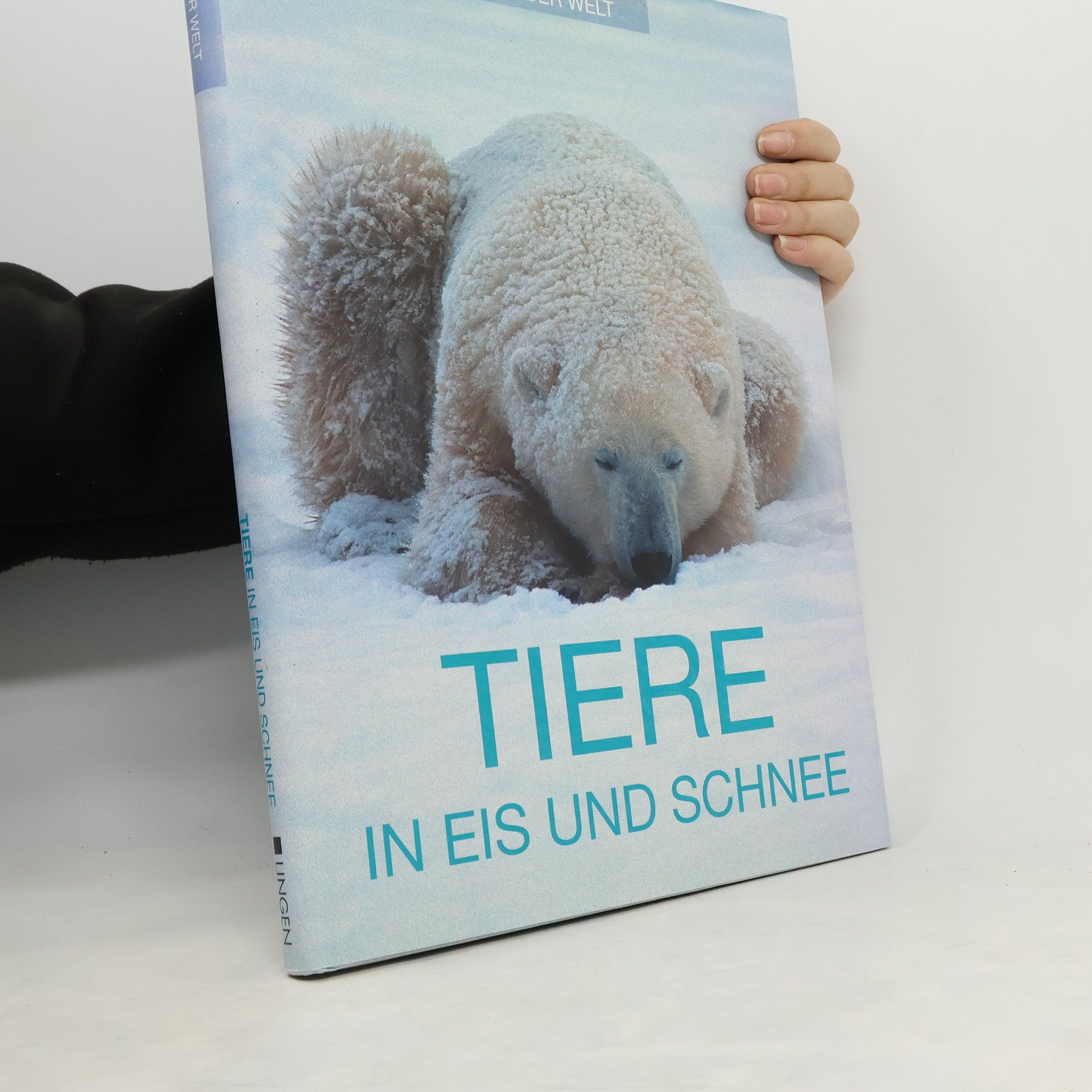 Various authors Tiere in eis und Schnee