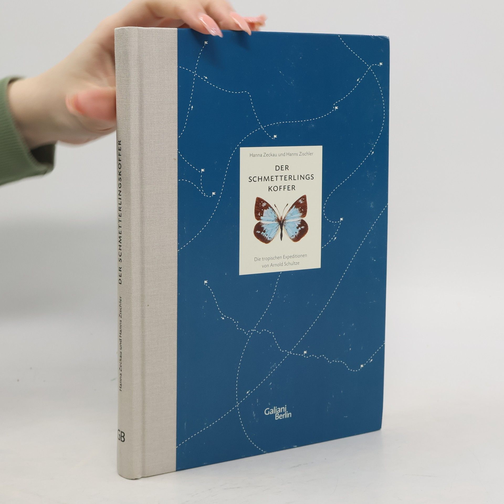 Arnold Schultze Der Schmetterlingskoffer