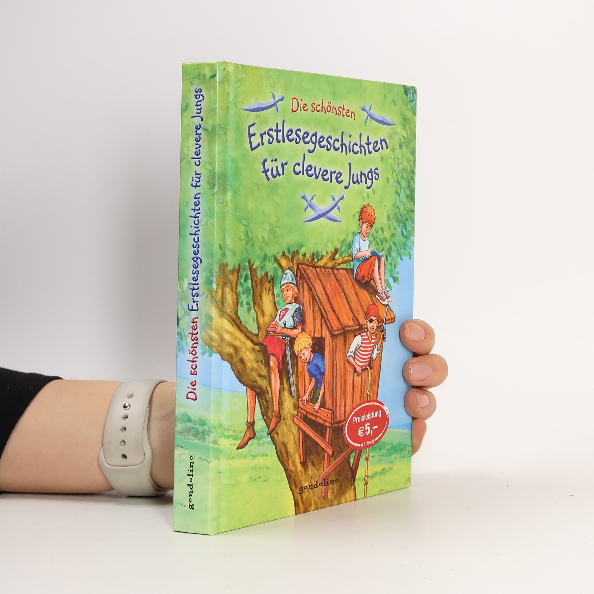 Kolektiv autorů Die schönsten: Erstlesegeschichten für clevere Jungs