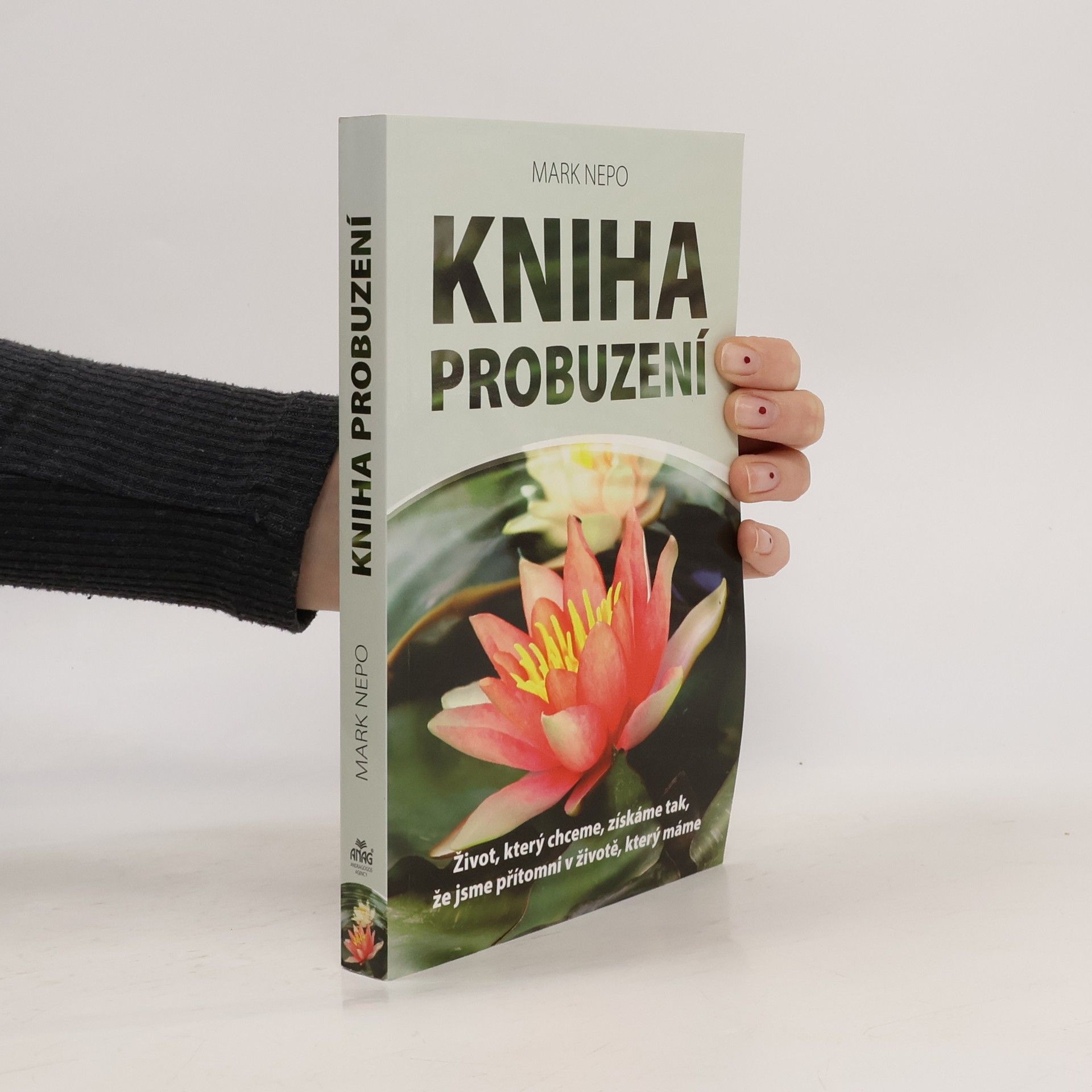 Mark Nepo Kniha probuzení