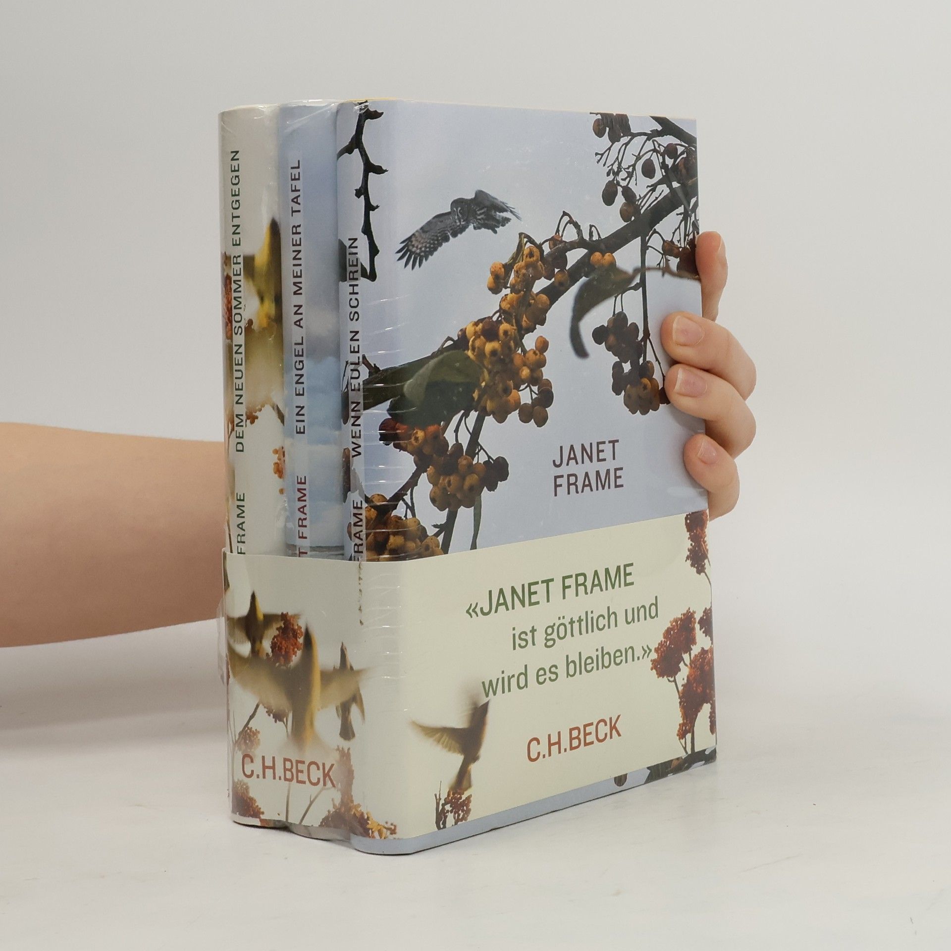 Ein Engel an meiner Tafel. Dem neuen Sommer entgegen. Wenn eulen schrein 