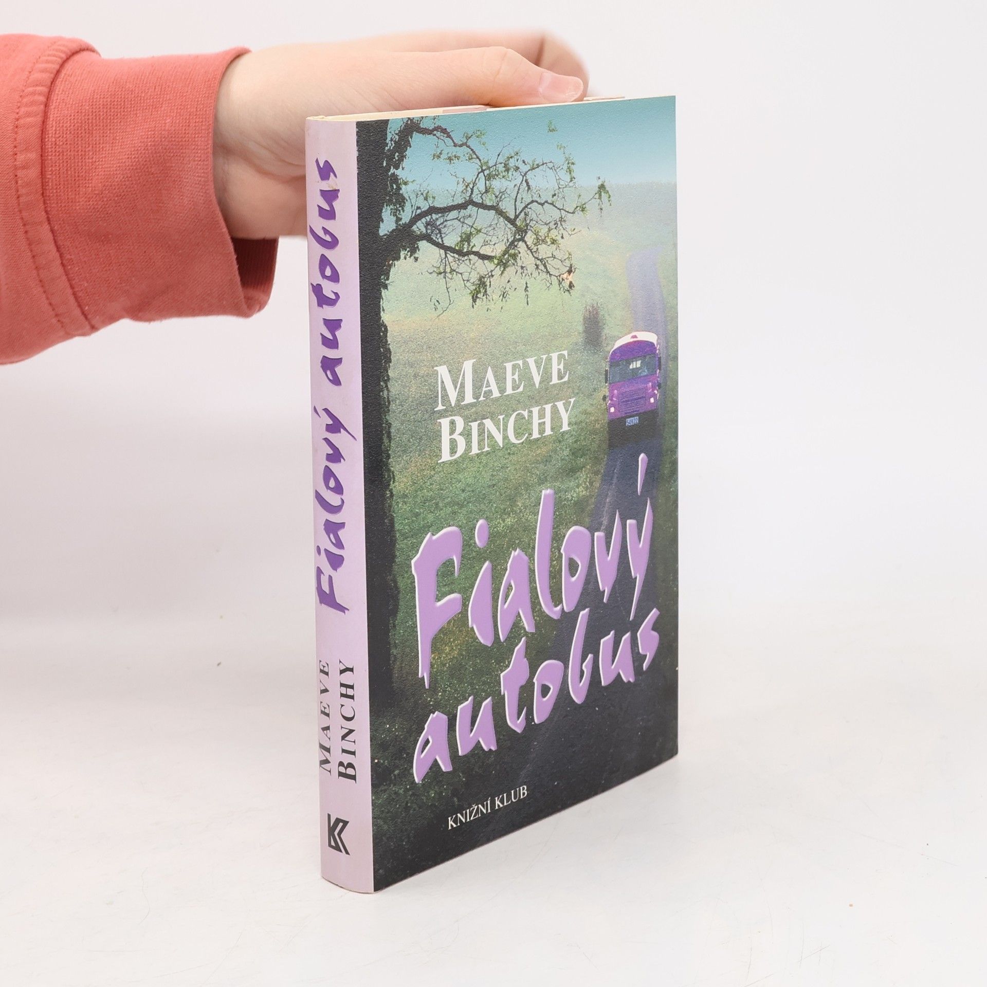 Maeve Binchy Fialový autobus