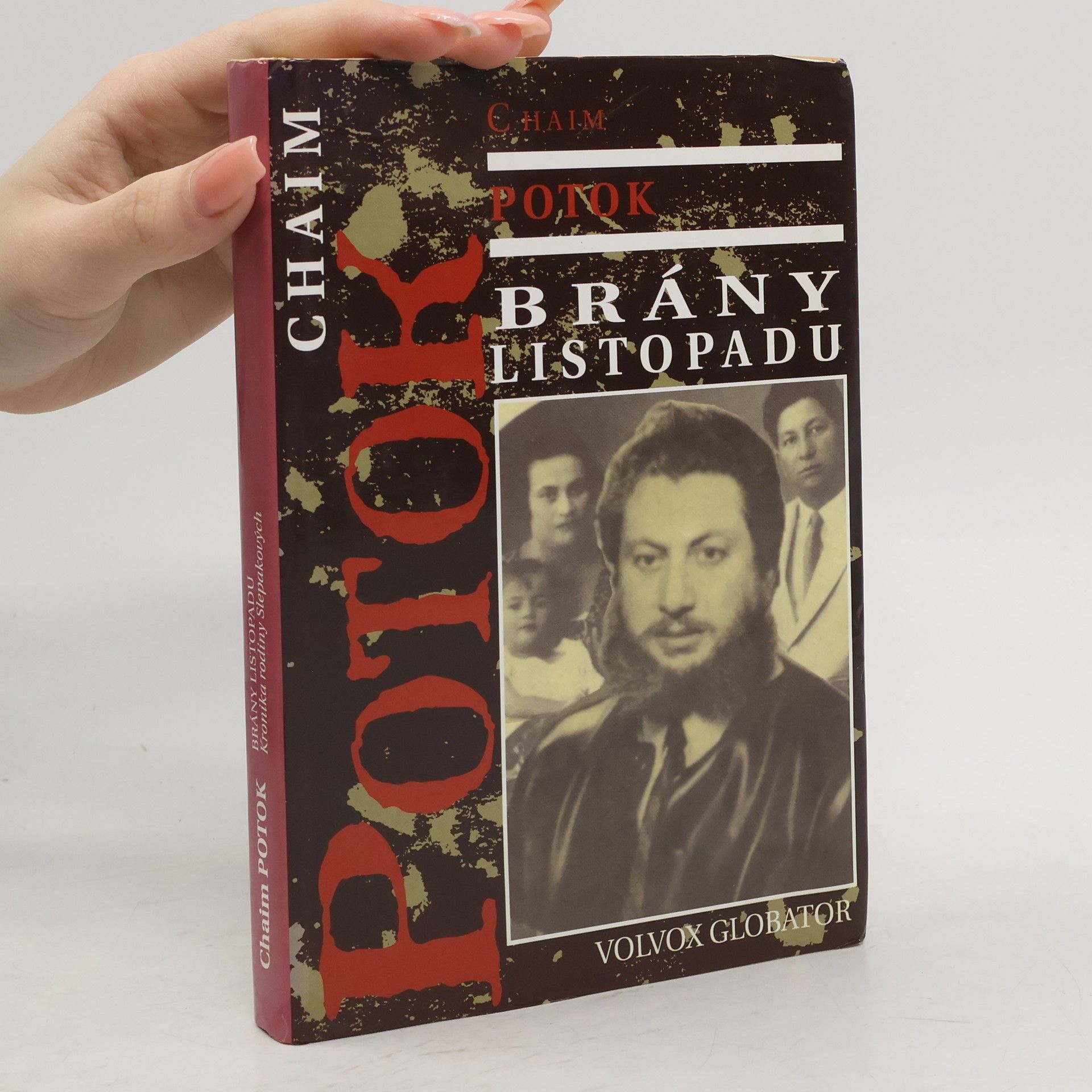 Chaim Potok Brány listopadu