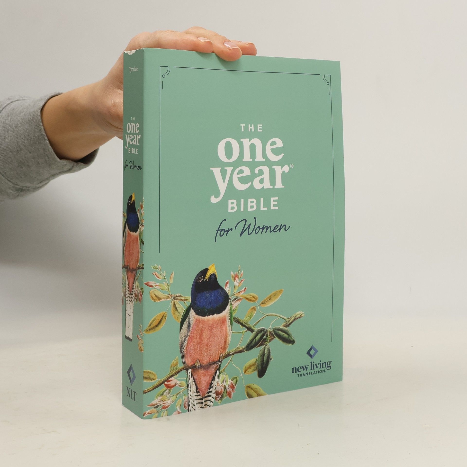 Misty Arterburn NLT The One Year Bible for Women