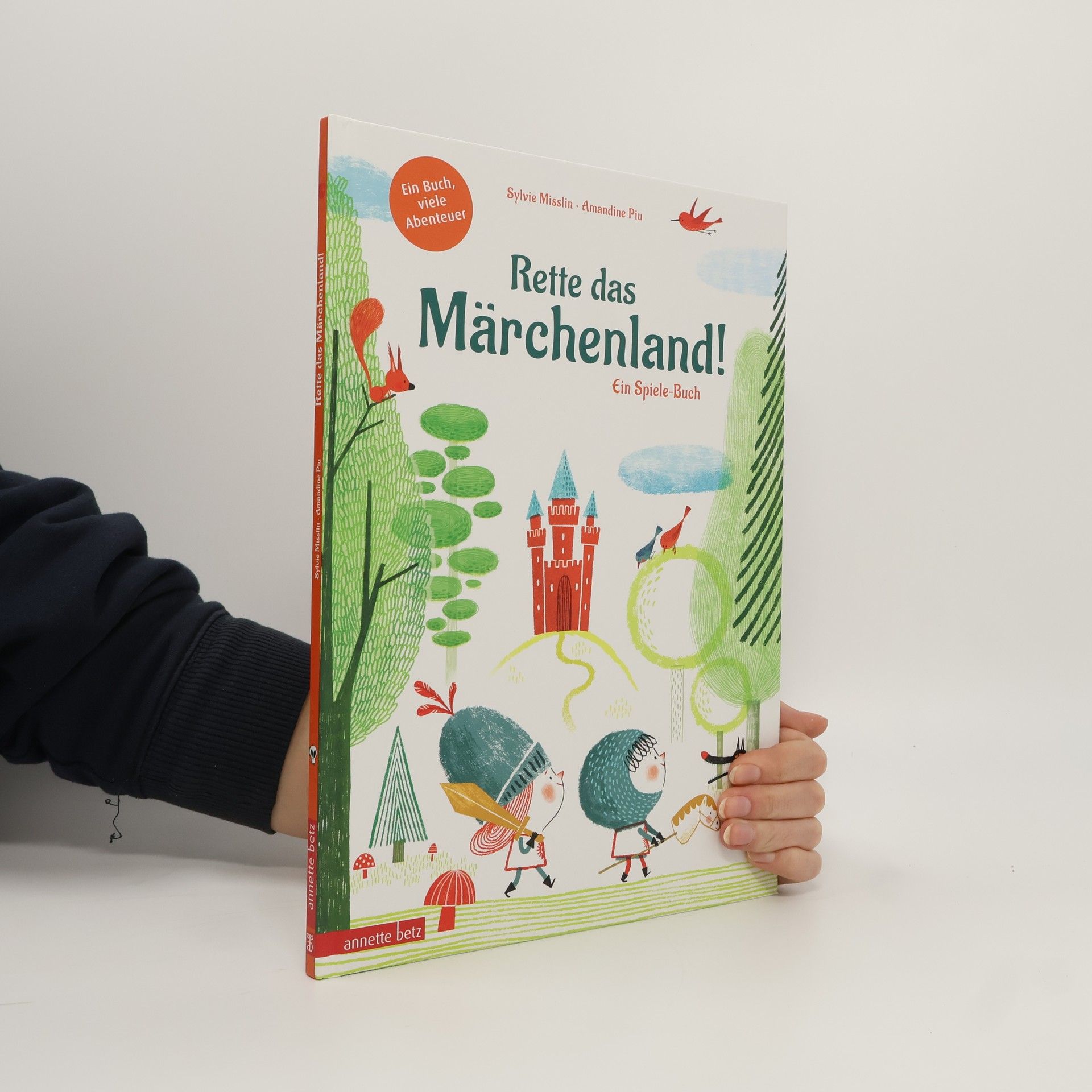 Sylvie Misslin Rette das Märchenland! - Ein ganz besonderes Du-entscheidest-selbst-Abenteuer