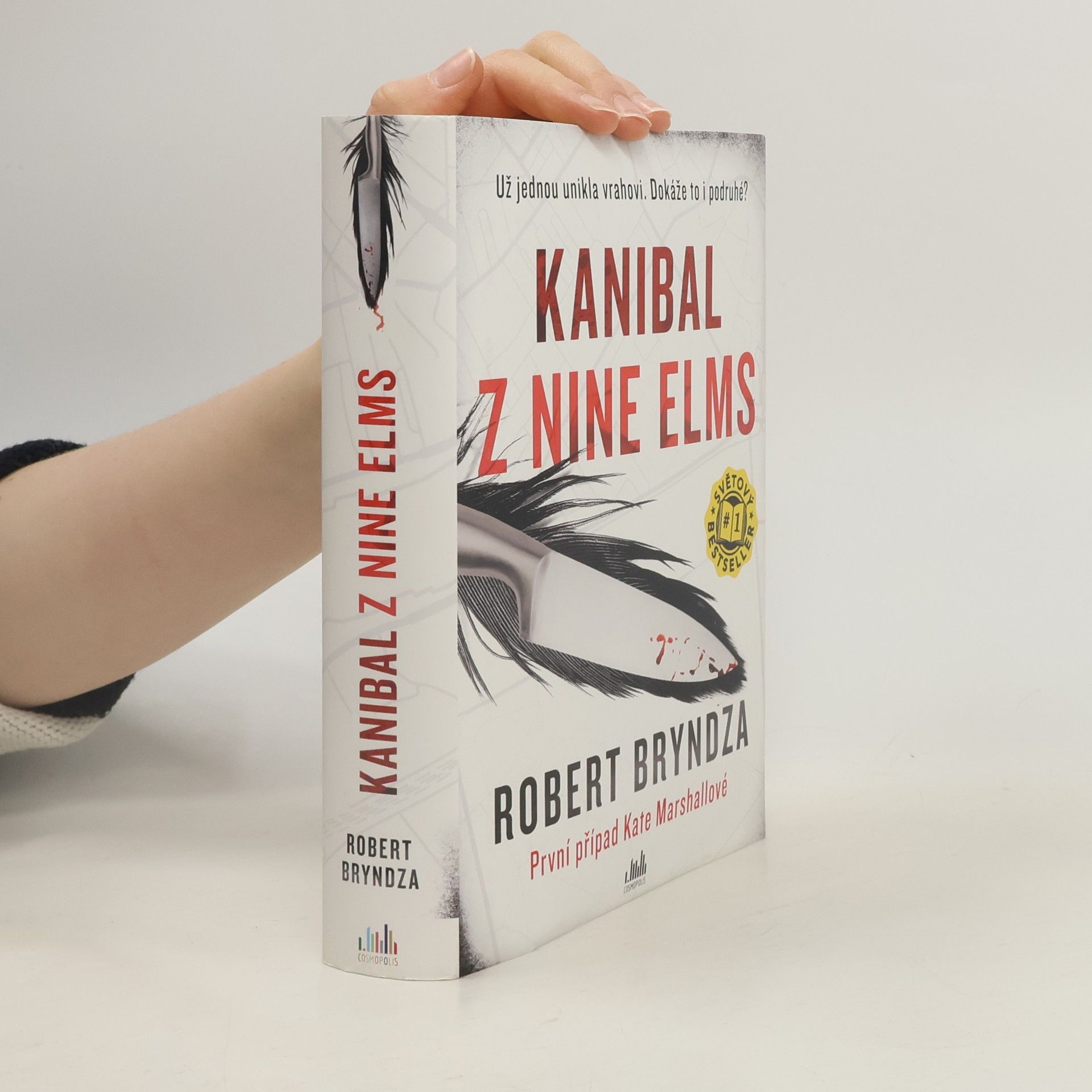 Robert Bryndza Kanibal z Nine Elms