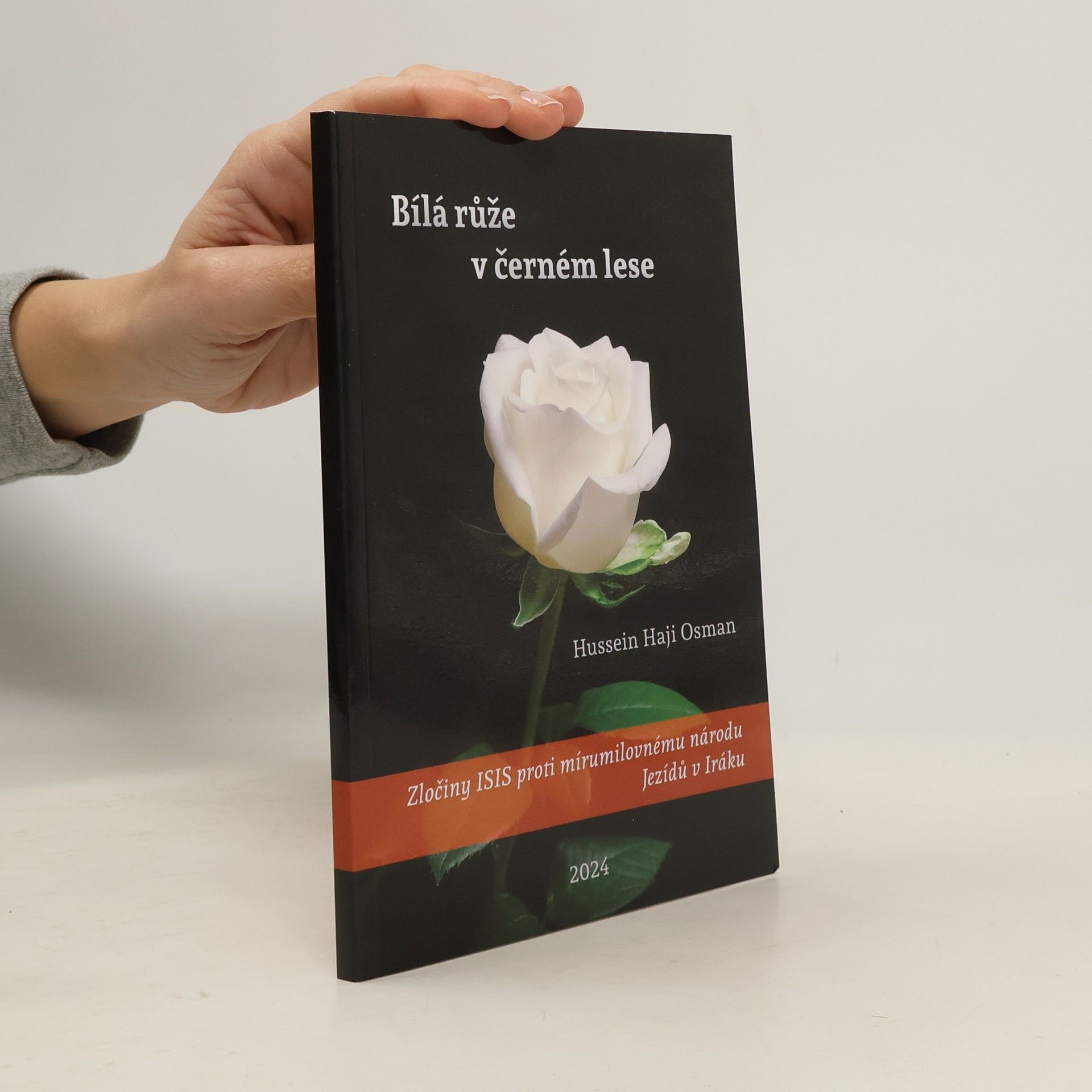 Bílá růže v černém lese