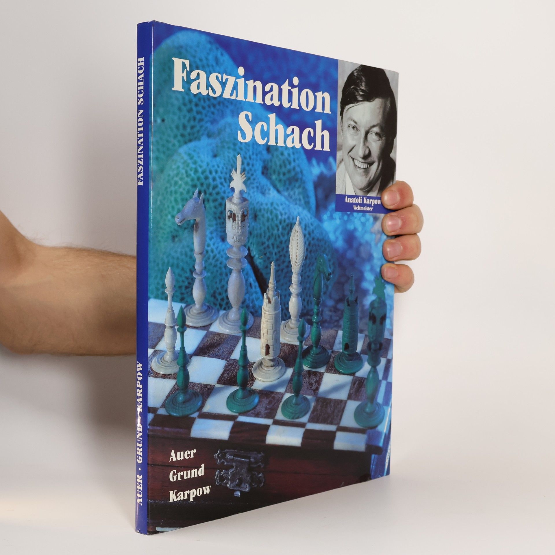 Dieter Auer Faszination Schach