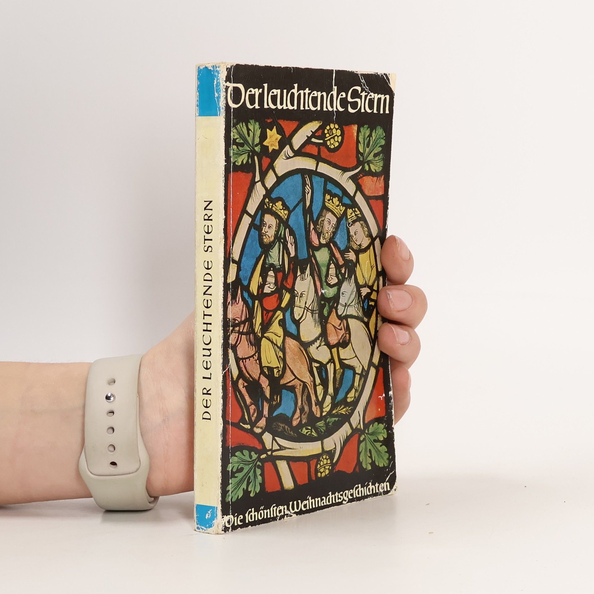 Hubert Butterwegge Der leuchtende Stern. Weihnachtliche Erzählungen