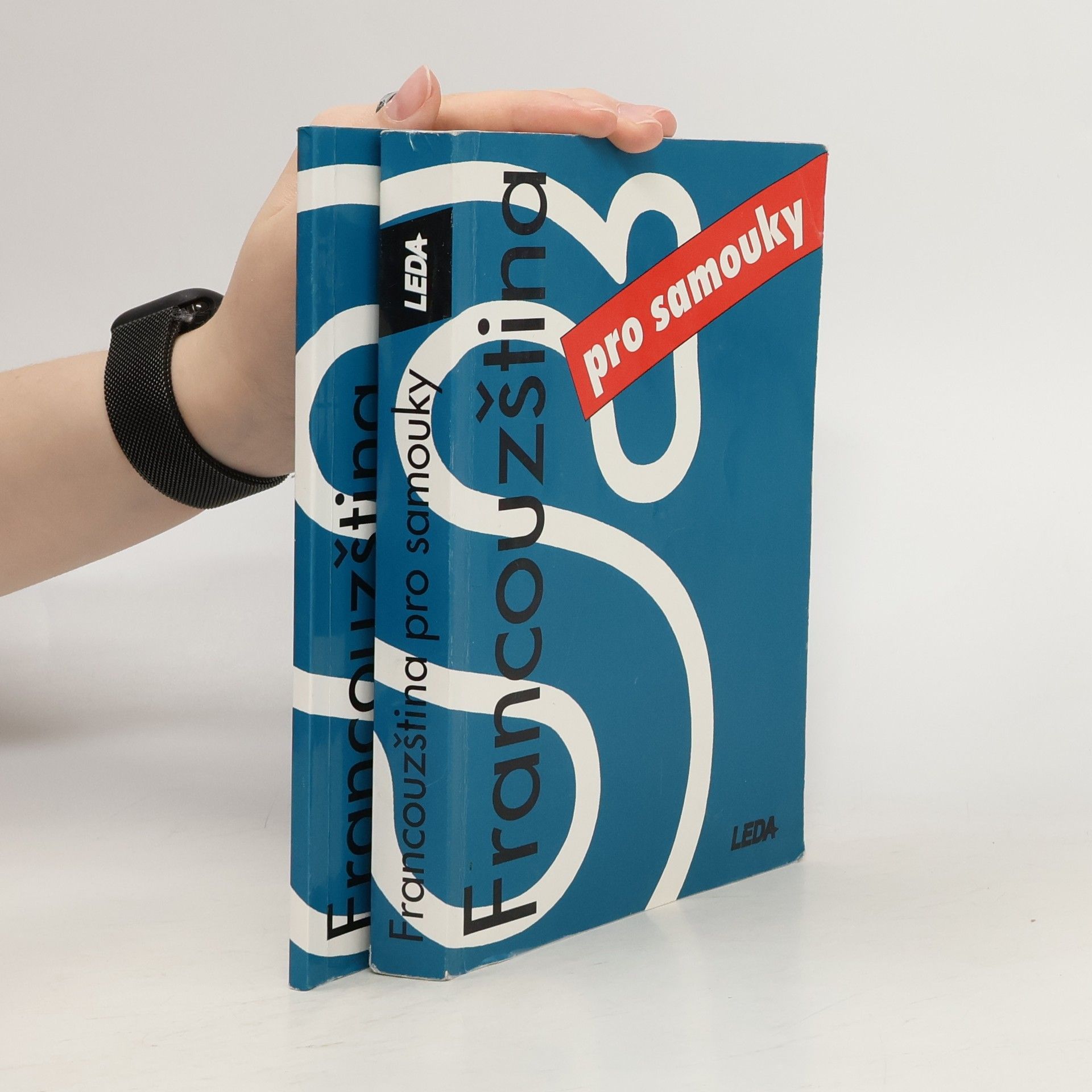 Francouzština pro samouky. Učebnice + Klíč, slovník