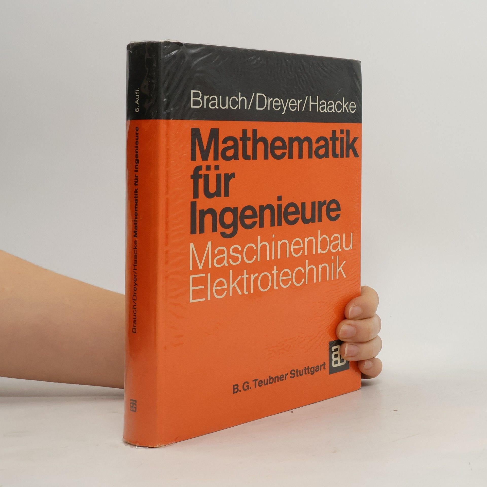 Mathematik für Ingenieure des Maschinenbaus und der Elektrotechnik - 6. Auflage