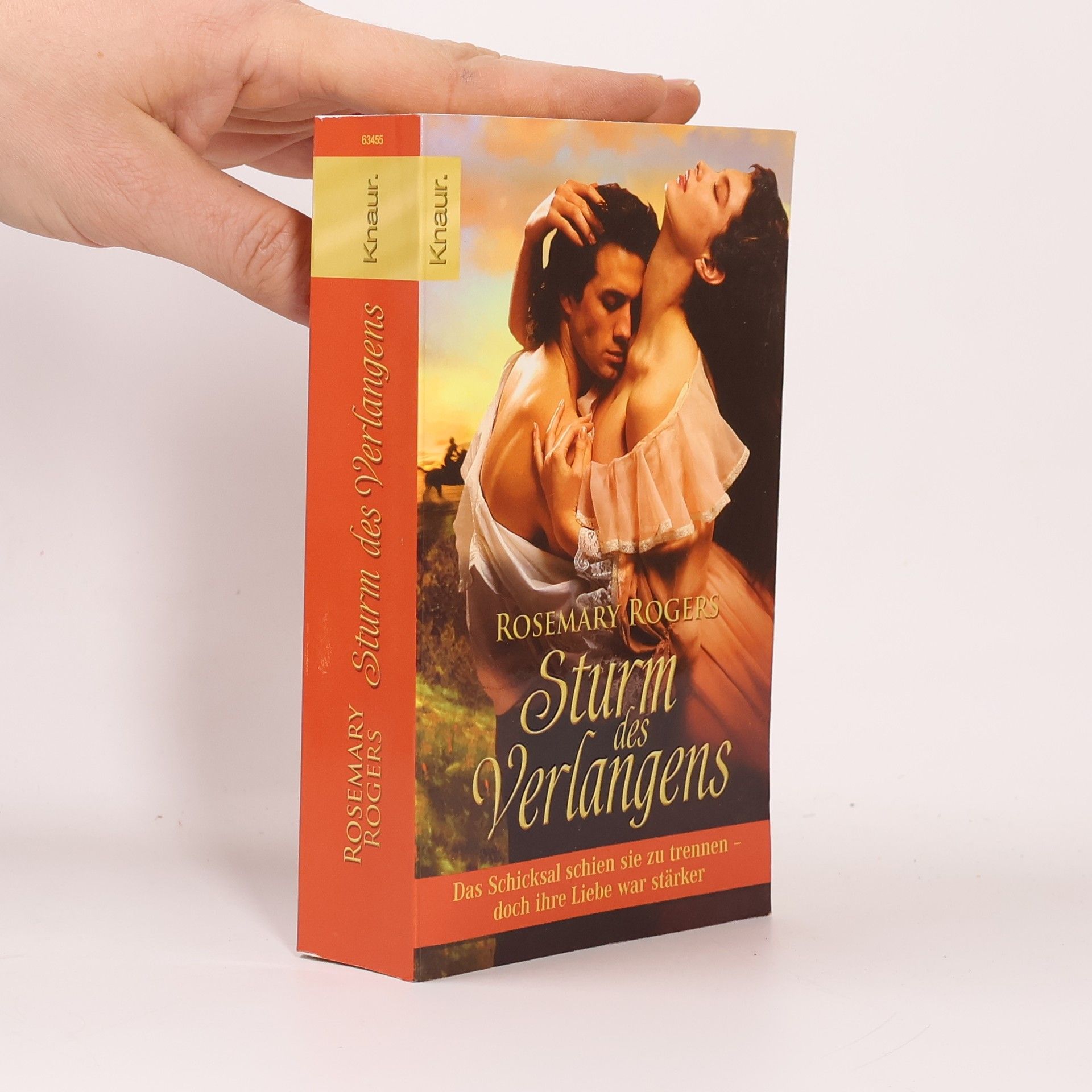 Rosemary Rogers Sturm des Verlangens. Roman
