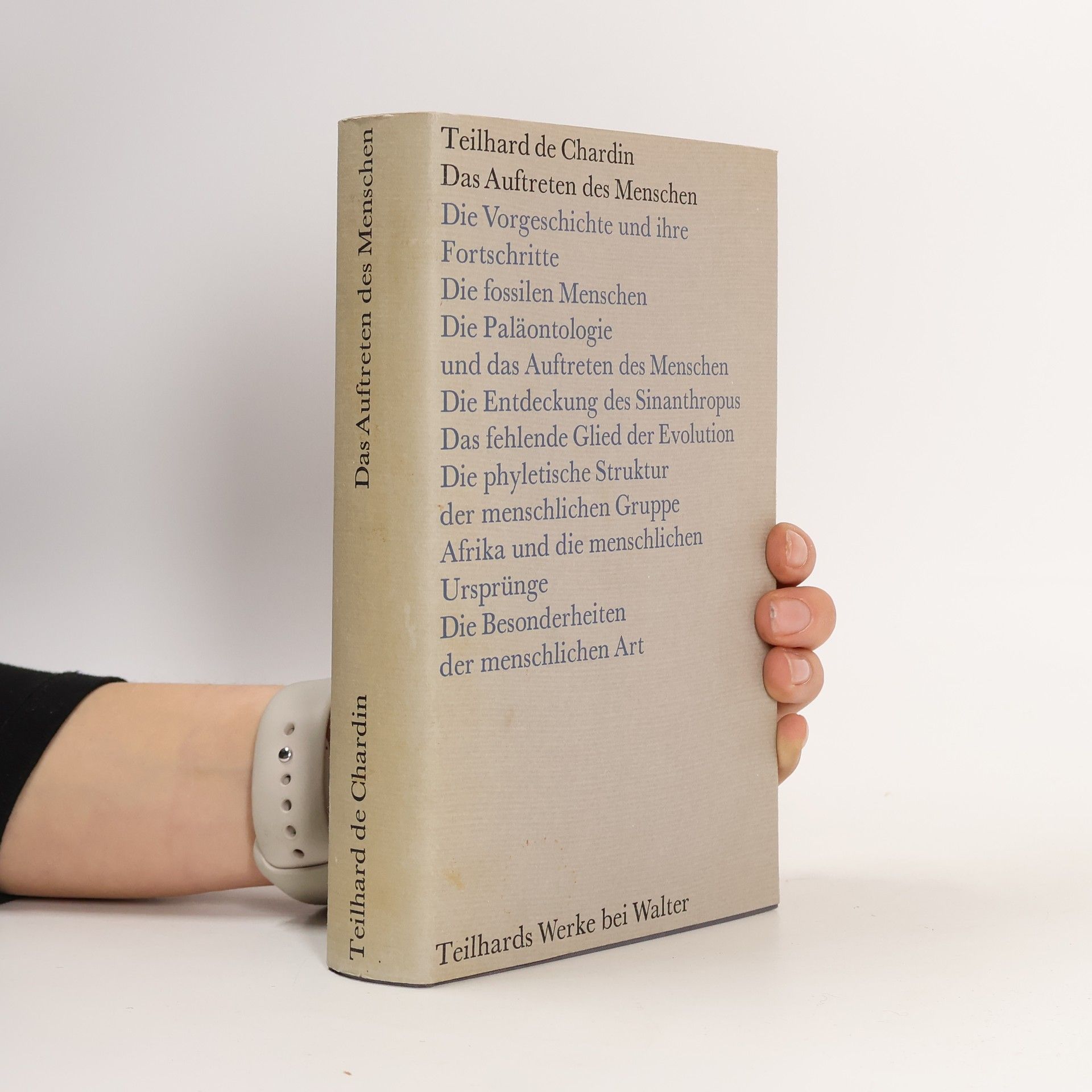 Pierre Teilhard de Chardin Das Auftreten des Menschen