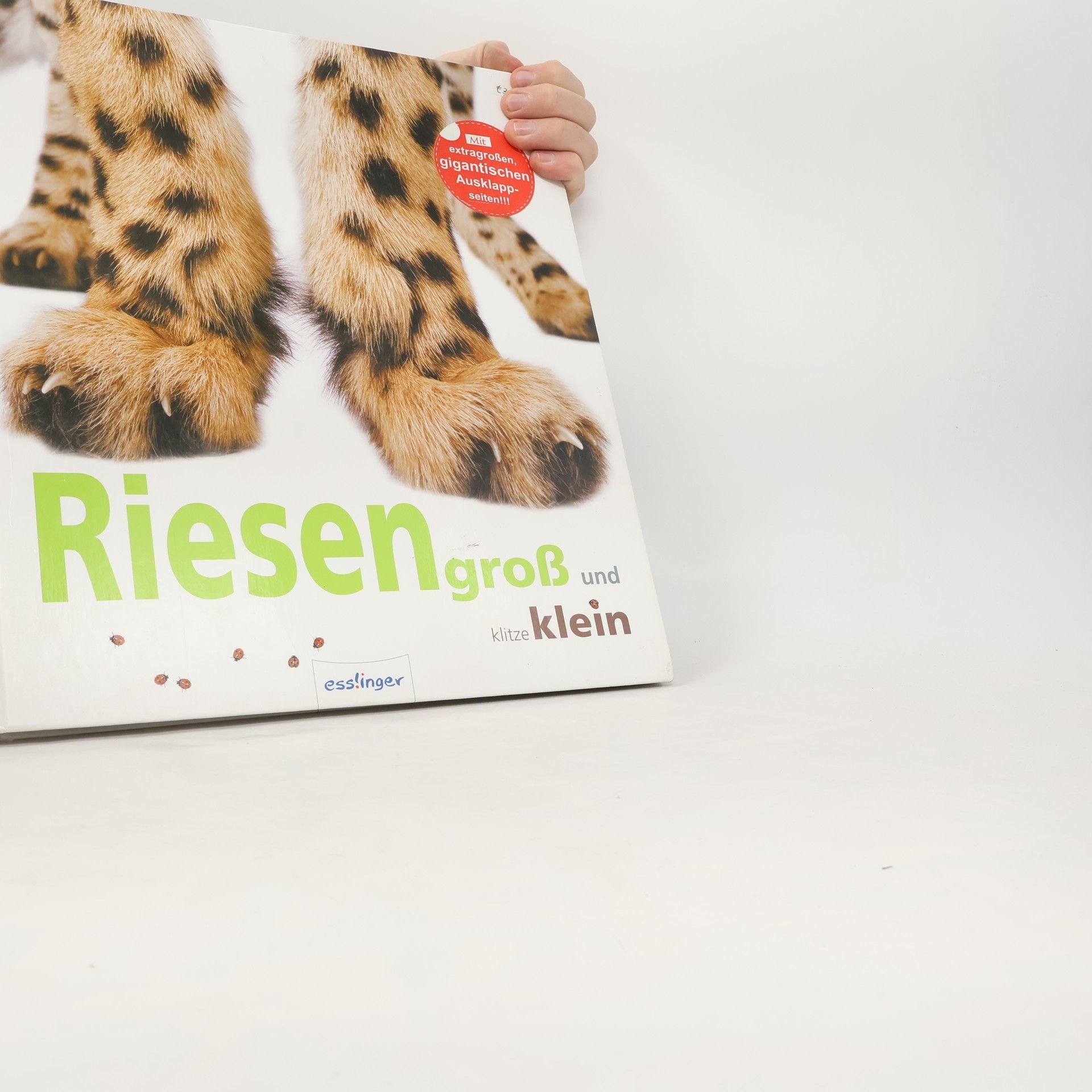 Riesengroß und klitzeklein