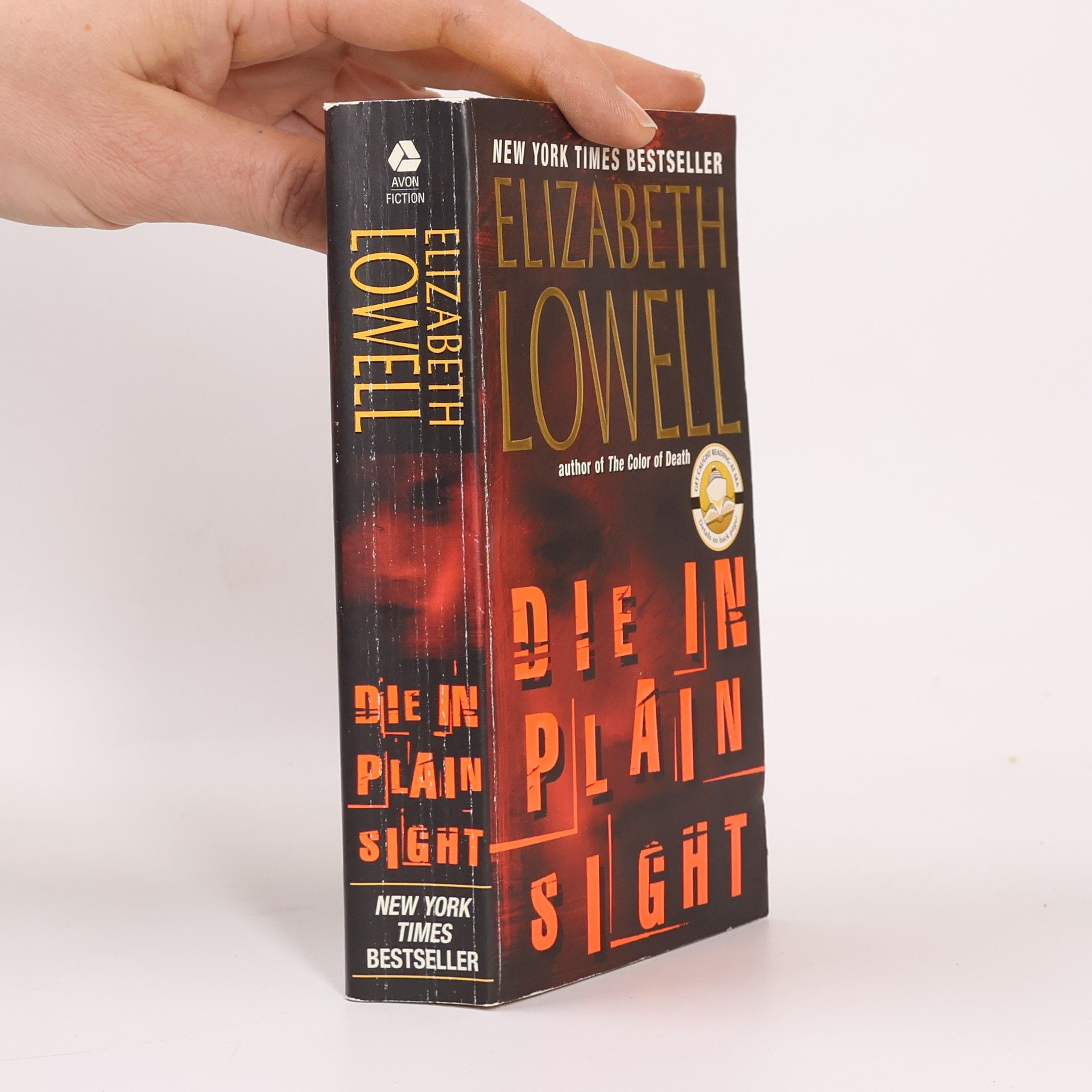 Ann Maxwell Die in Plain Sight