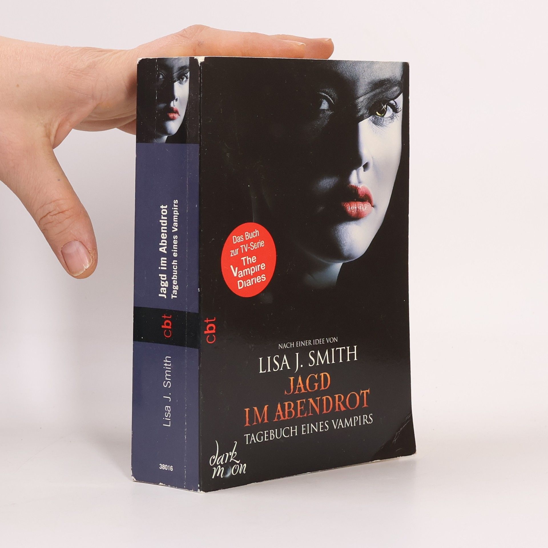 Lisa Jane Smith Jagd im Abendrot