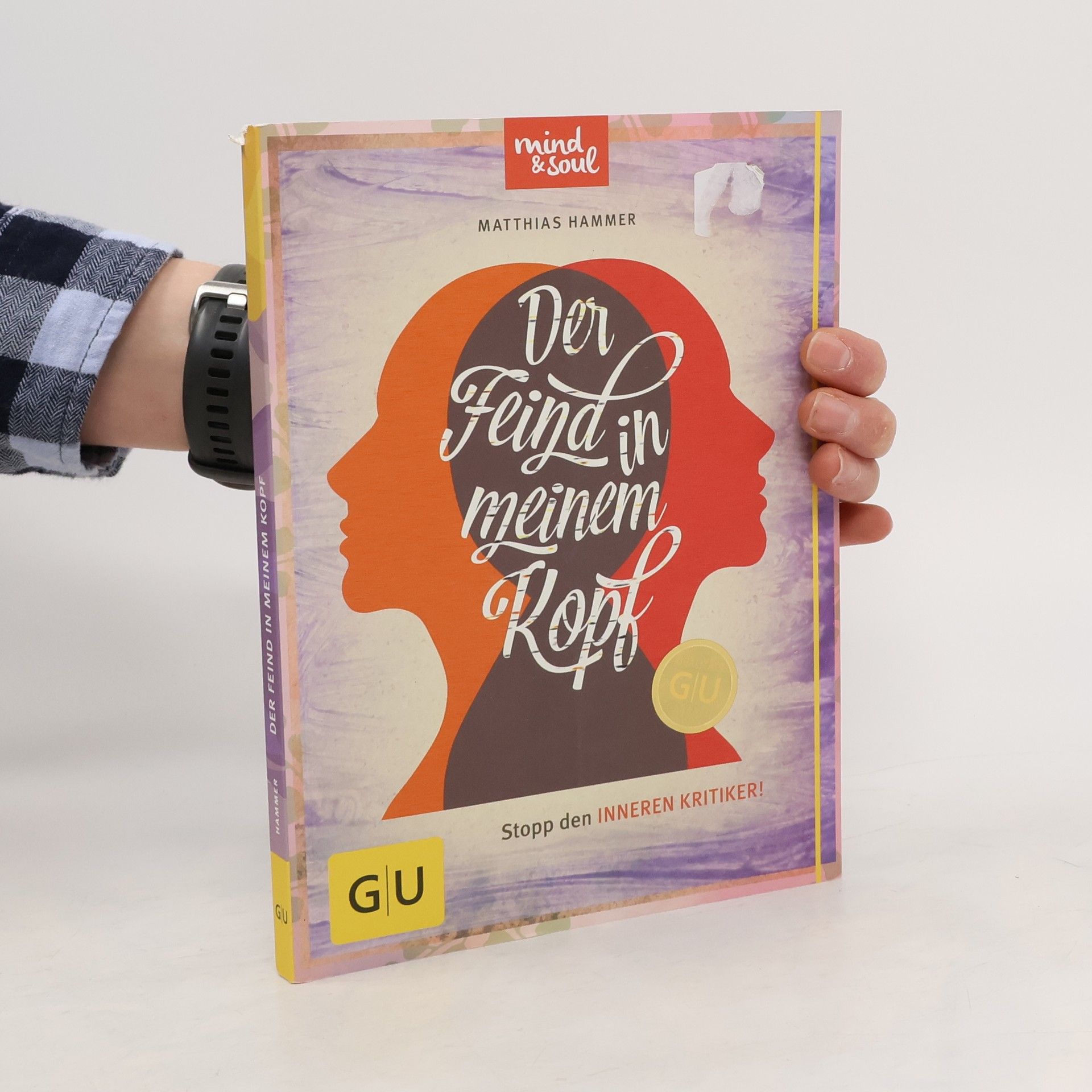 Matthias Hammer Der Feind in meinem Kopf
