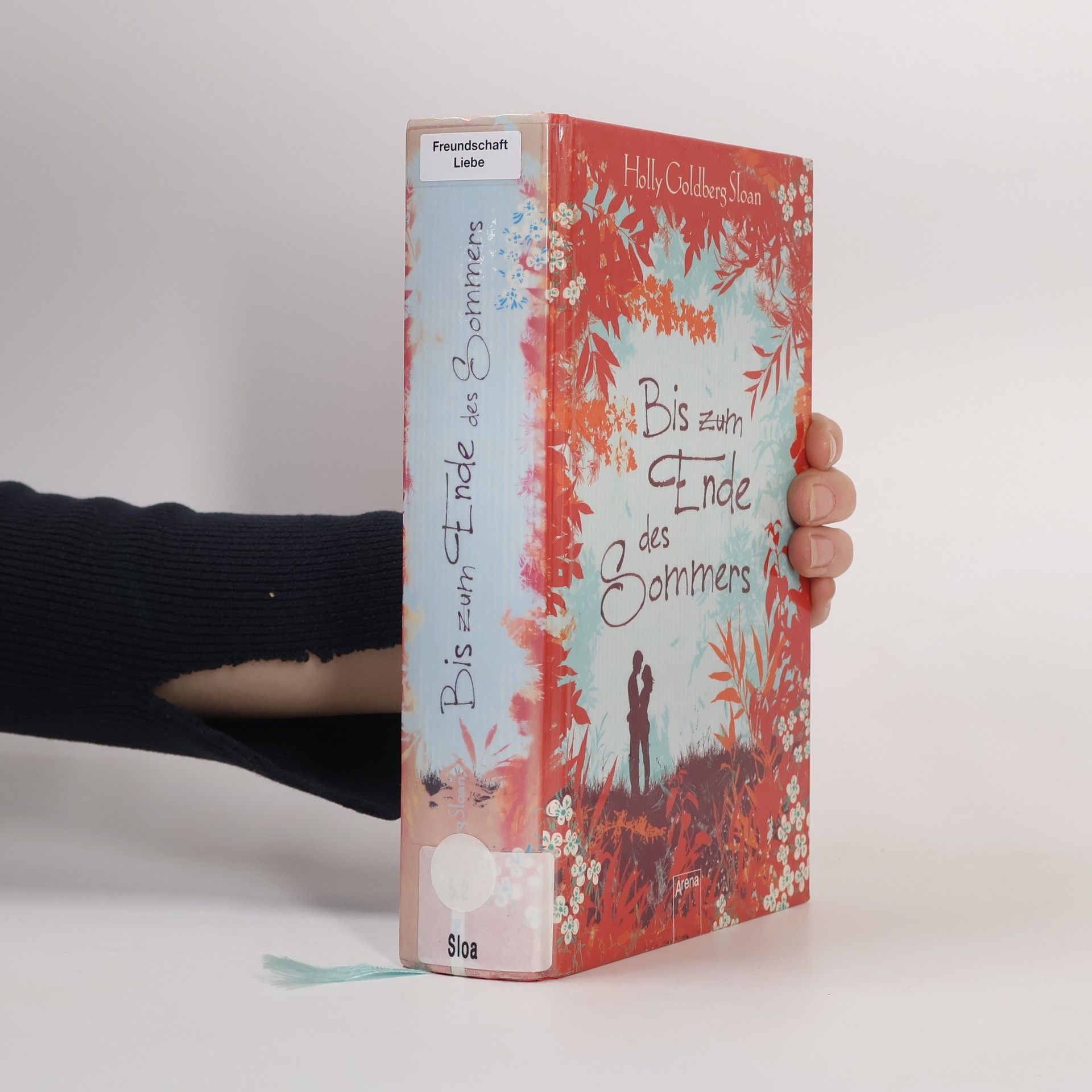 Holly Goldberg Sloan Bis zum Ende des Sommers