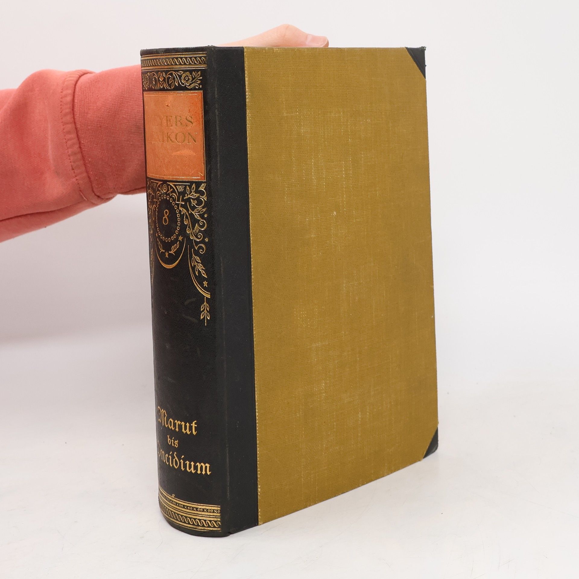 AA.VV. Meyers Lexikon 8