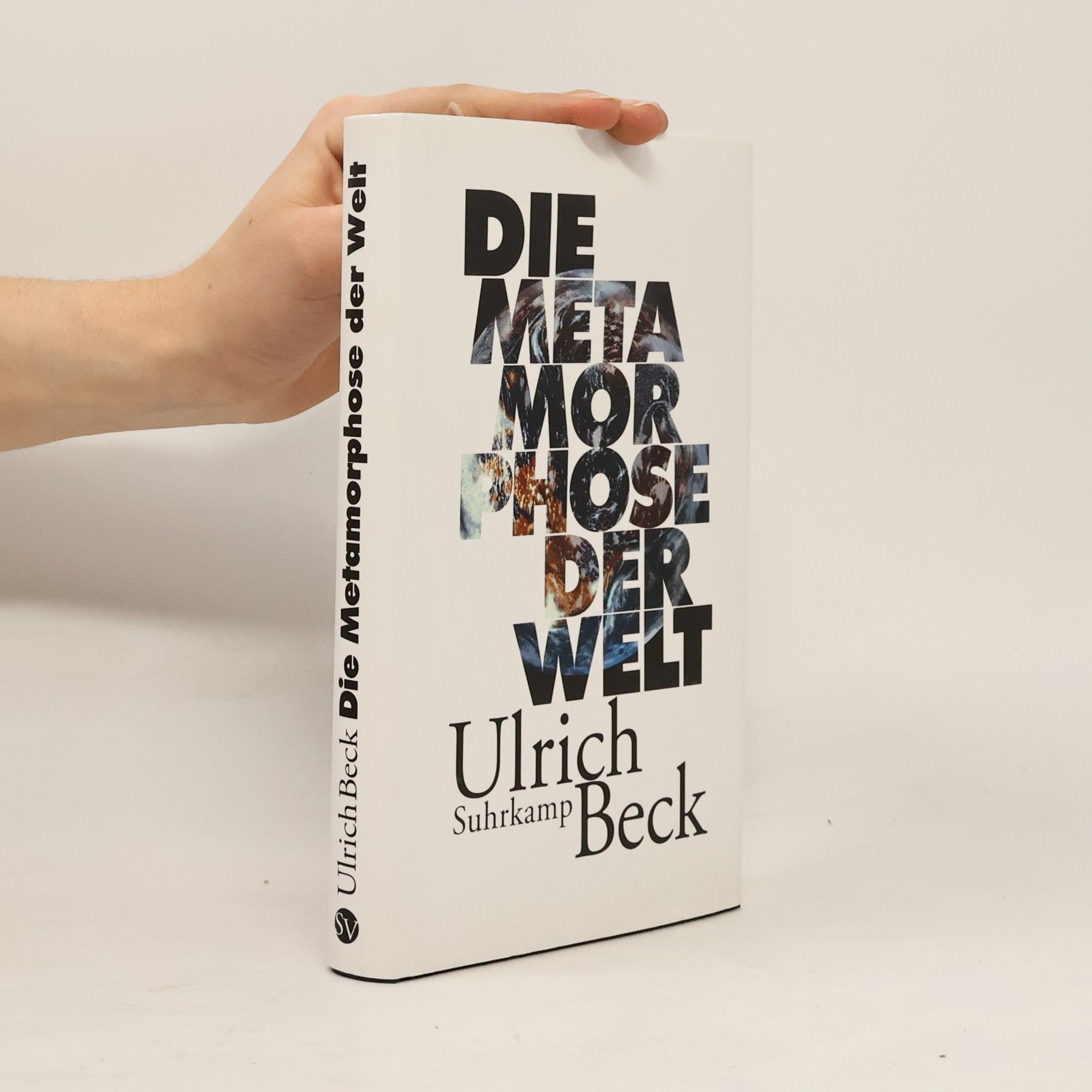 Ulrich Beck Die Metamorphose der Welt