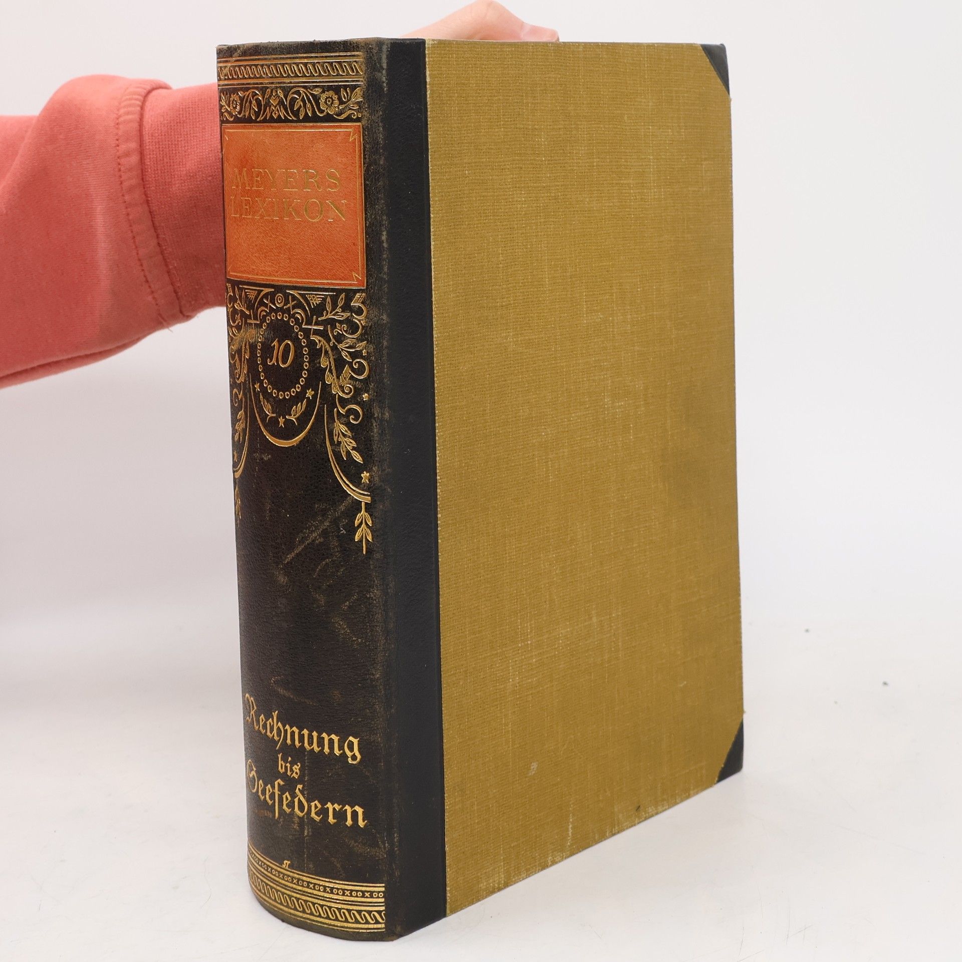AA.VV. Meyers Lexikon 10