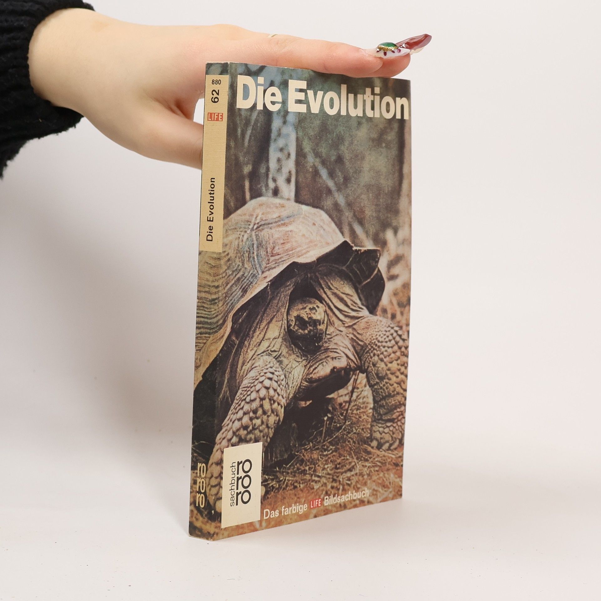 Ruth E. Moore Die Evolution