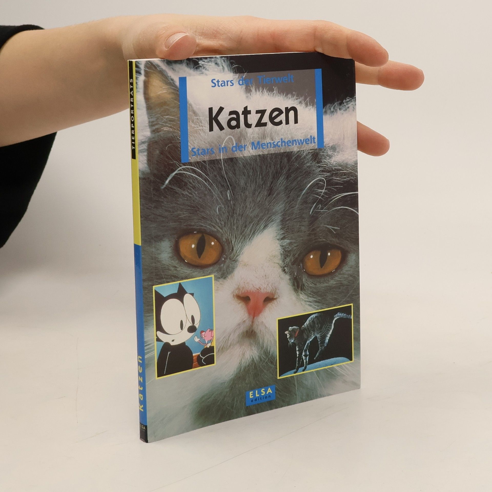 Auteurscollectief Katzen