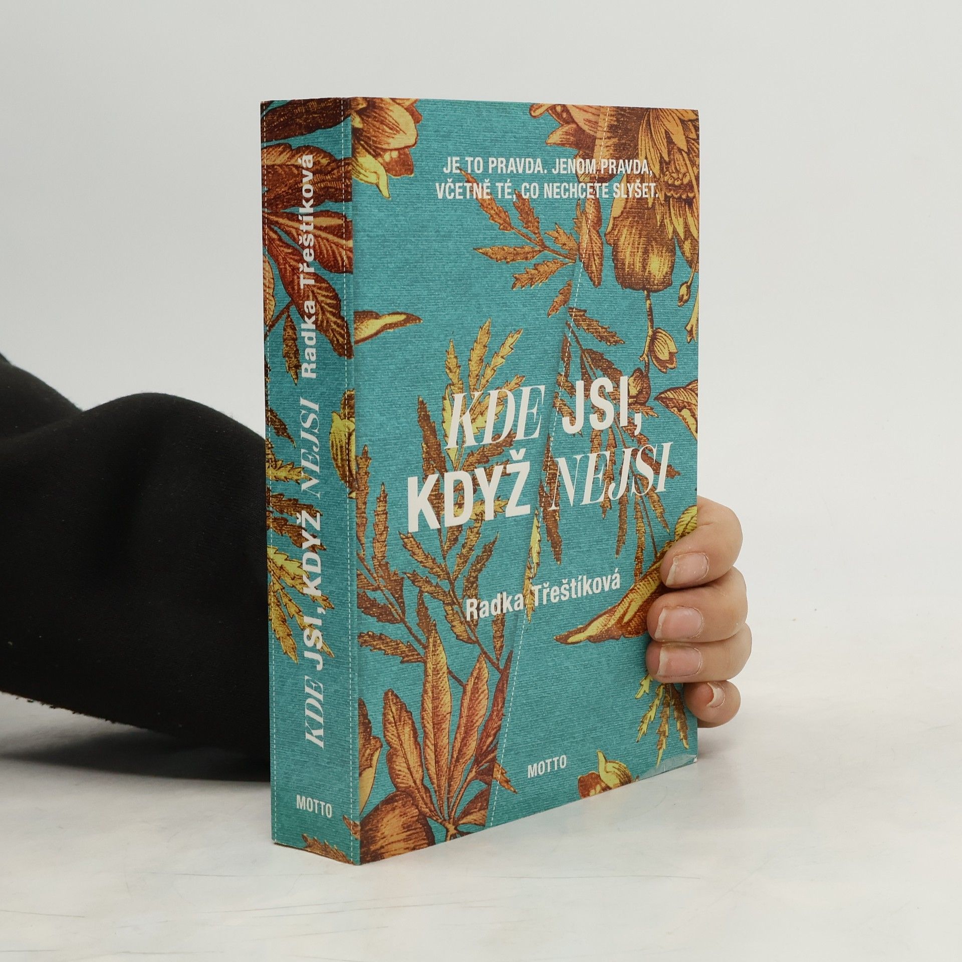 Radka Třeštíková Kde jsi, když nejsi