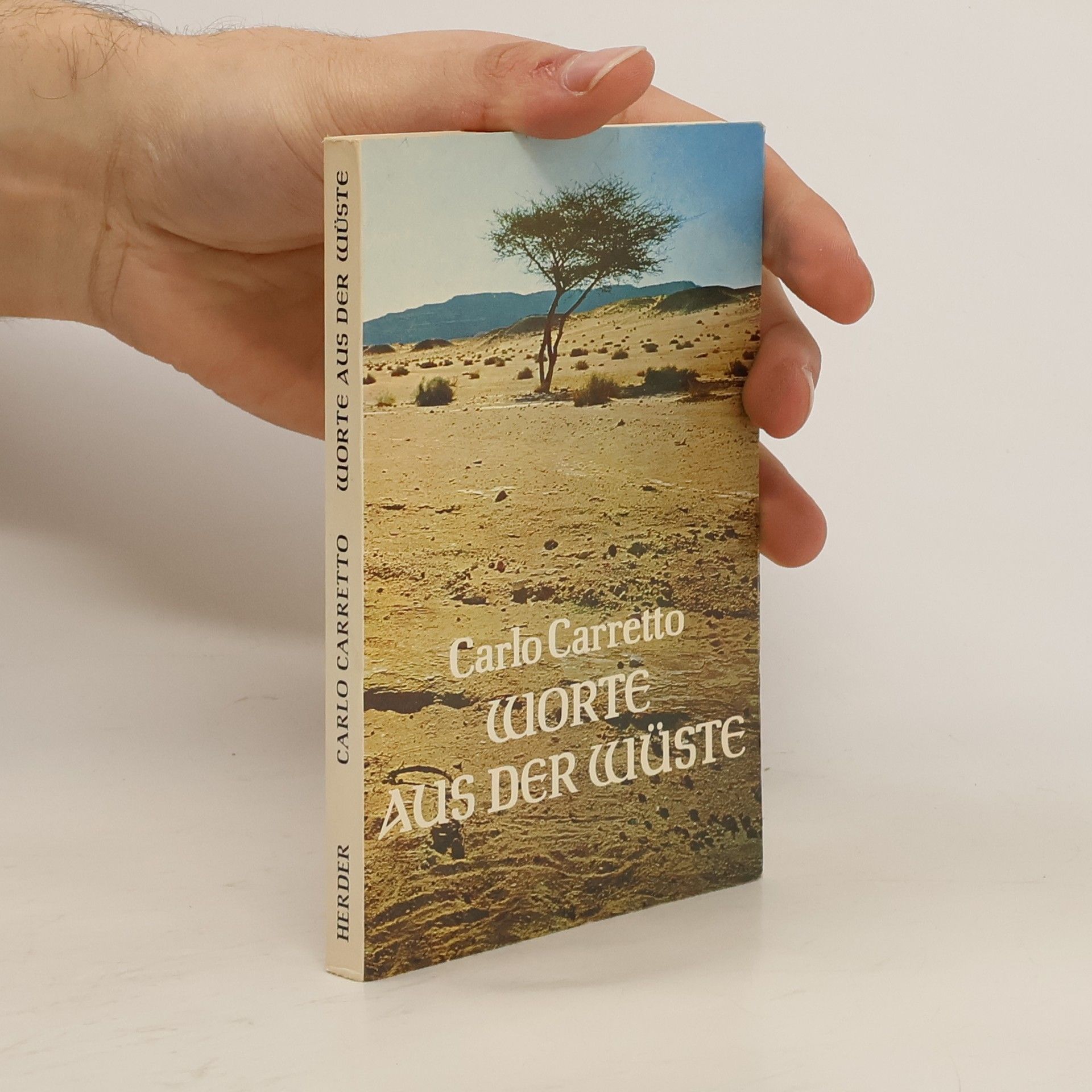 Carlo Carretto Worte aus der Wüste