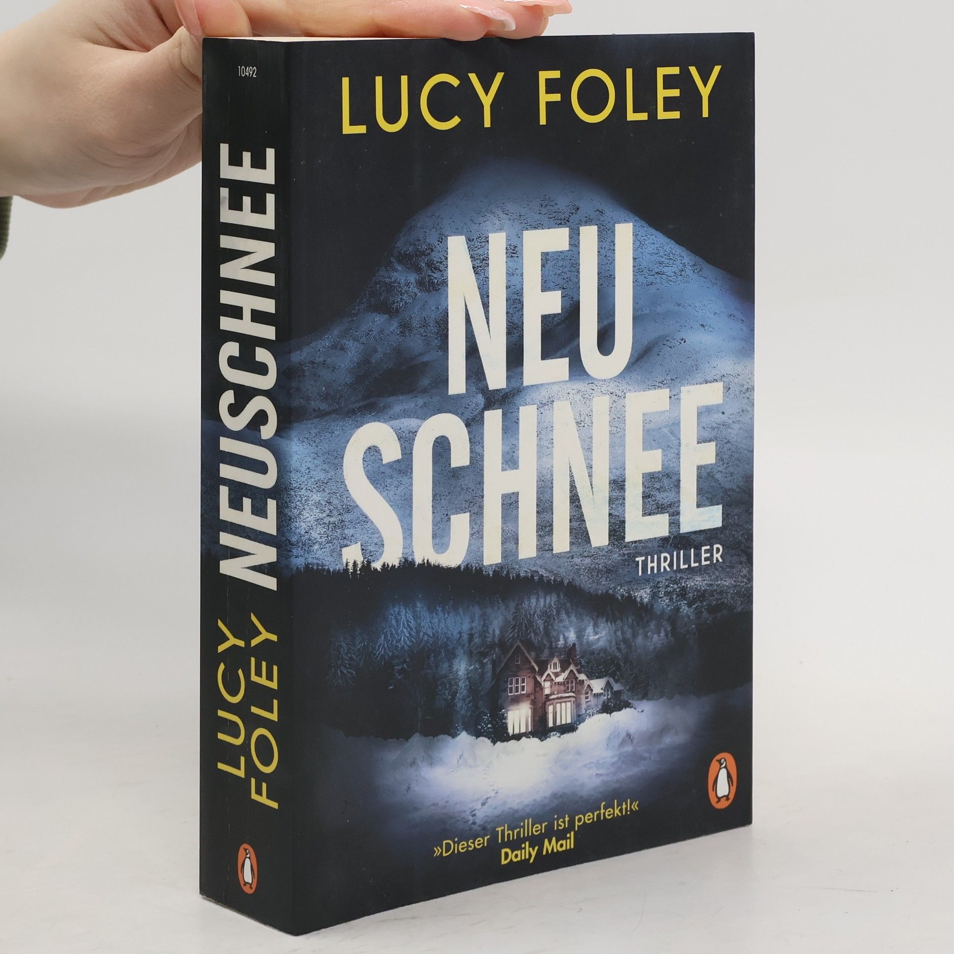 Lucy Foley Neuschnee