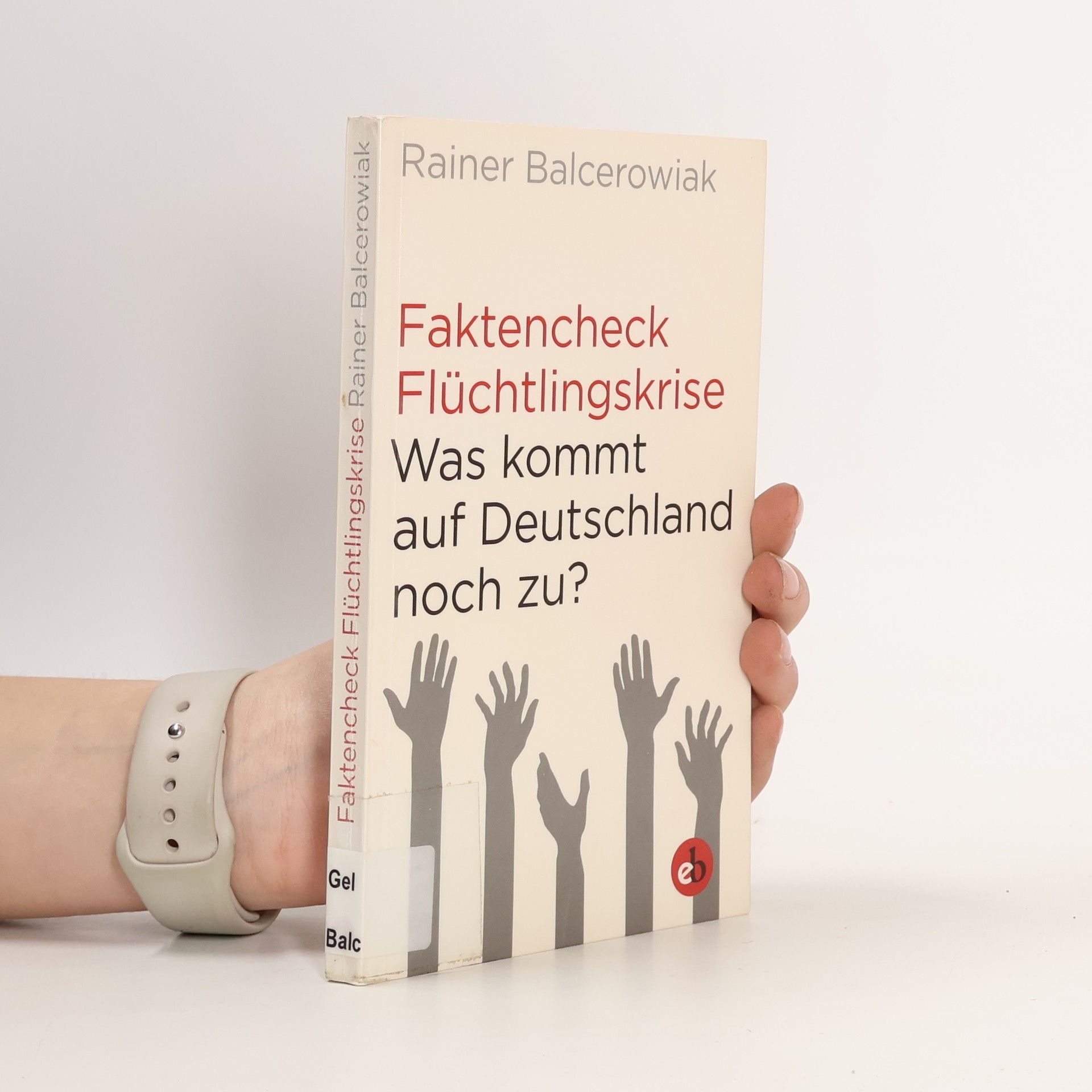 Rainer Balcerowiak Faktencheck Flüchtlingskrise