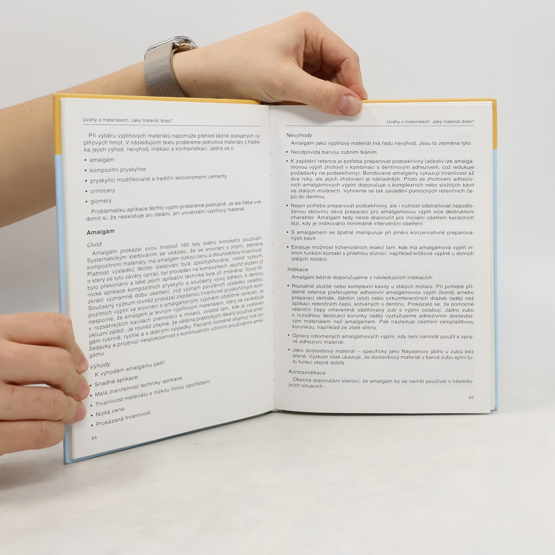 Paul A Brunton Záchovná stomatologie. Moderní postupy a řešení v praxi