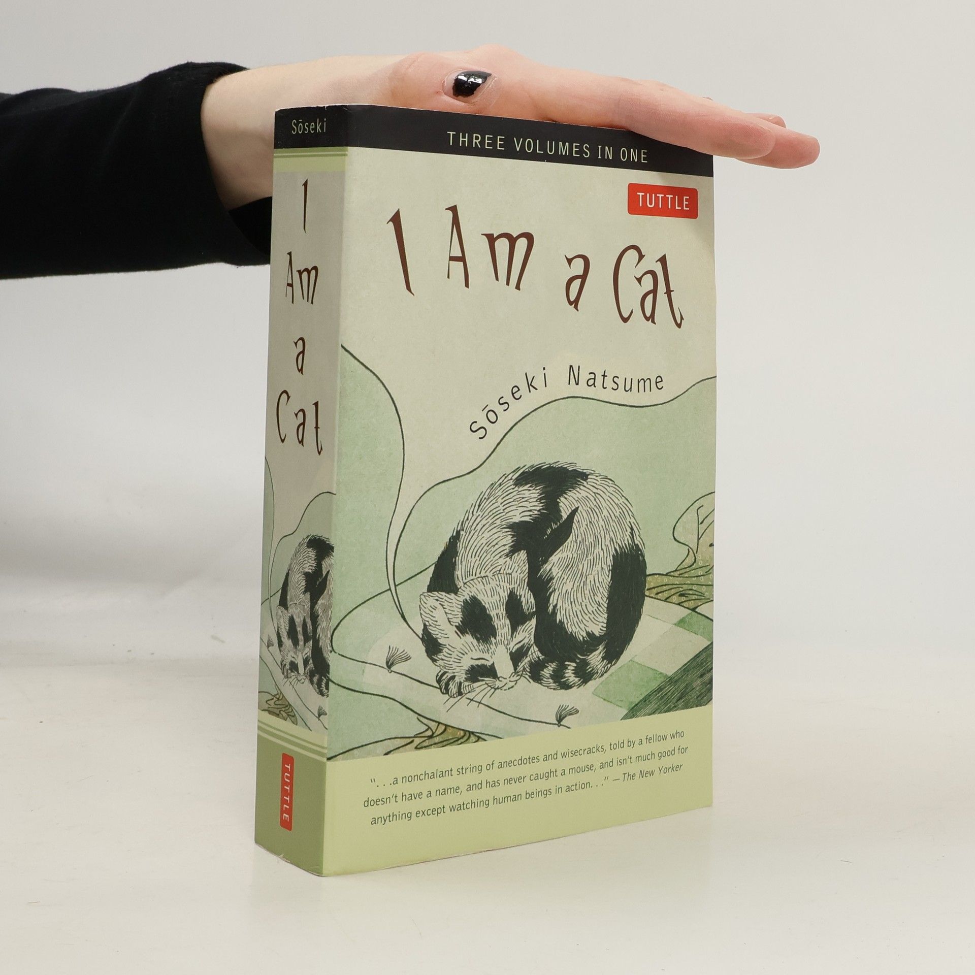 Sōseki Natsume I Am a Cat