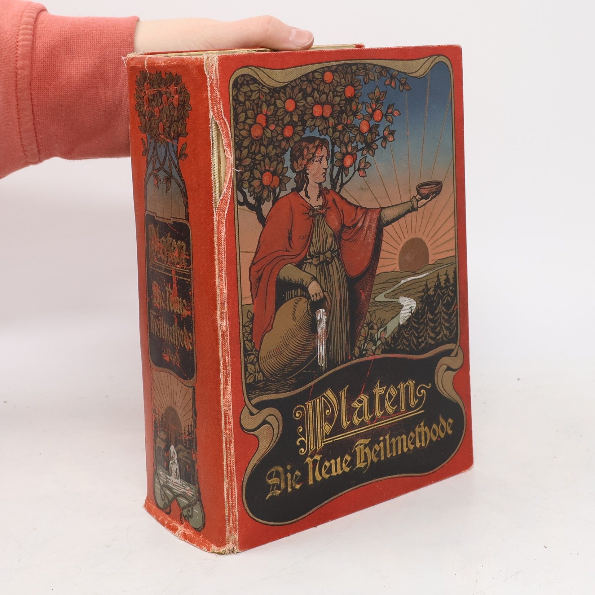 M. Platen Die neue Heilmethode