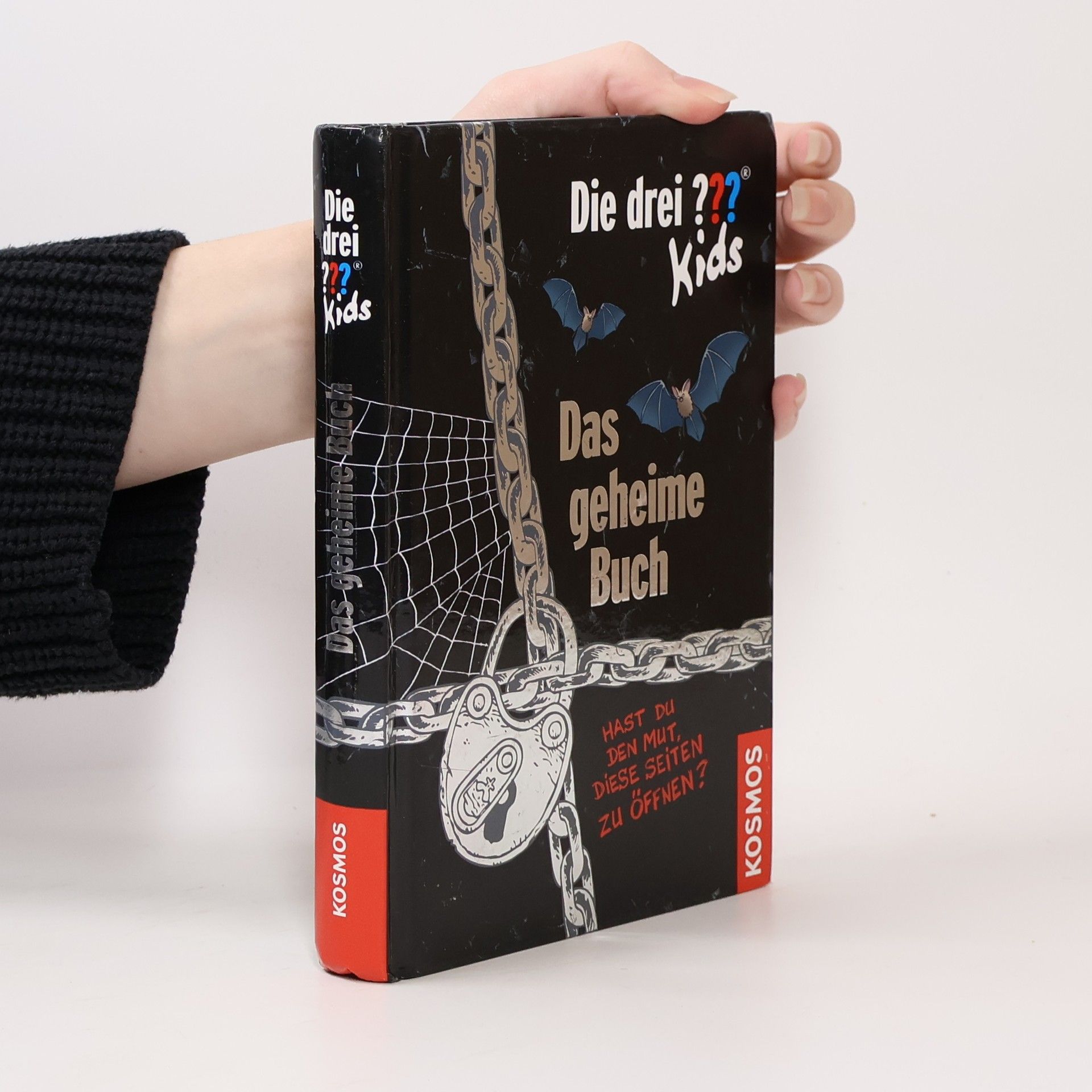 Ulf Blanck Das Geheime Buch