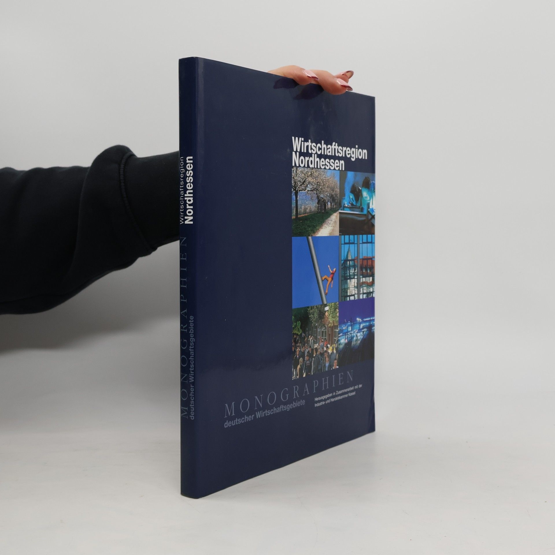 Monographien deutscher Wirtschaftsgebiete: Wirtschaftsregion Nordhessen